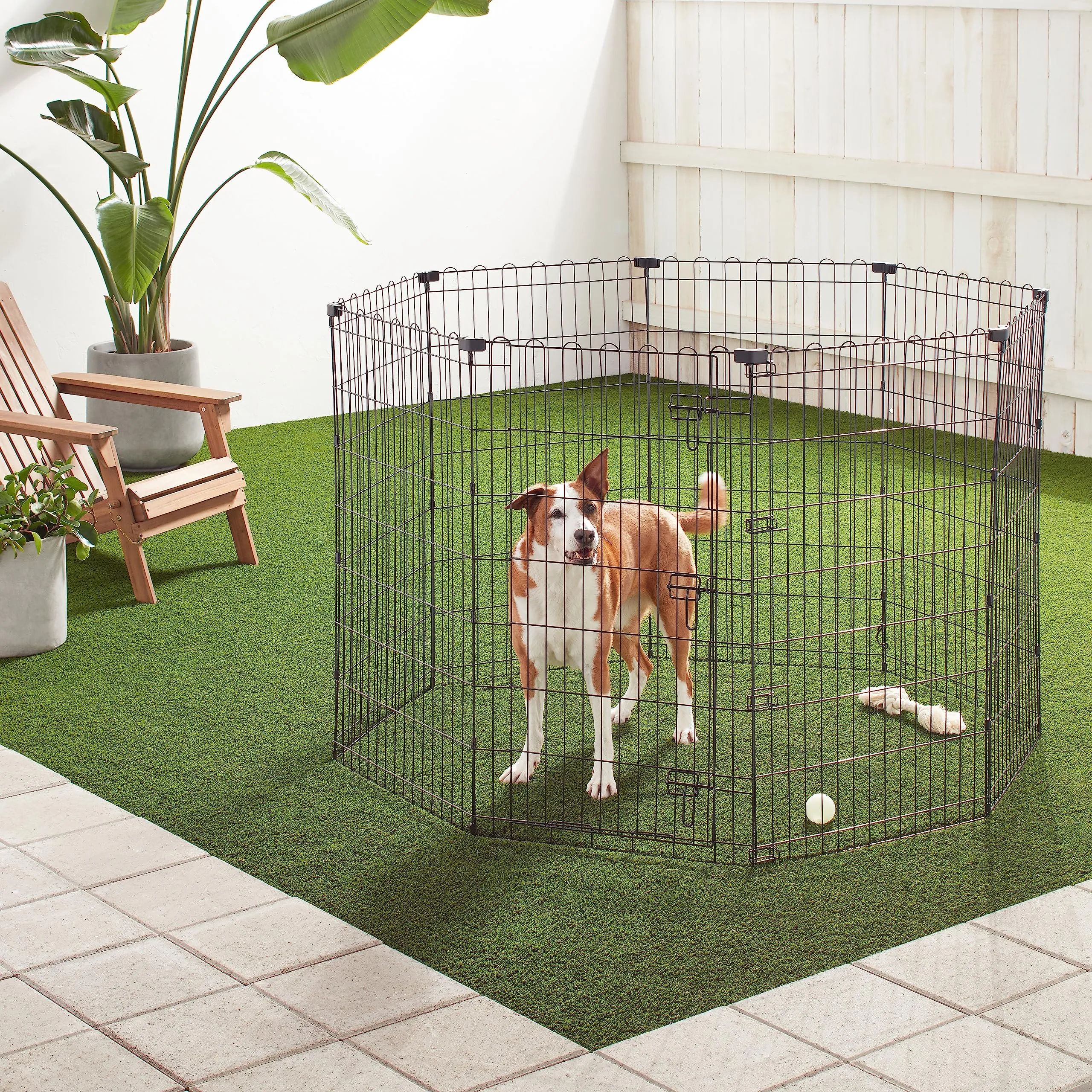 Amazon Basics Recinto per Cani da Interno, Ottagonale Pieghevole in Metallo, 107 cm, Nero - immagine 5