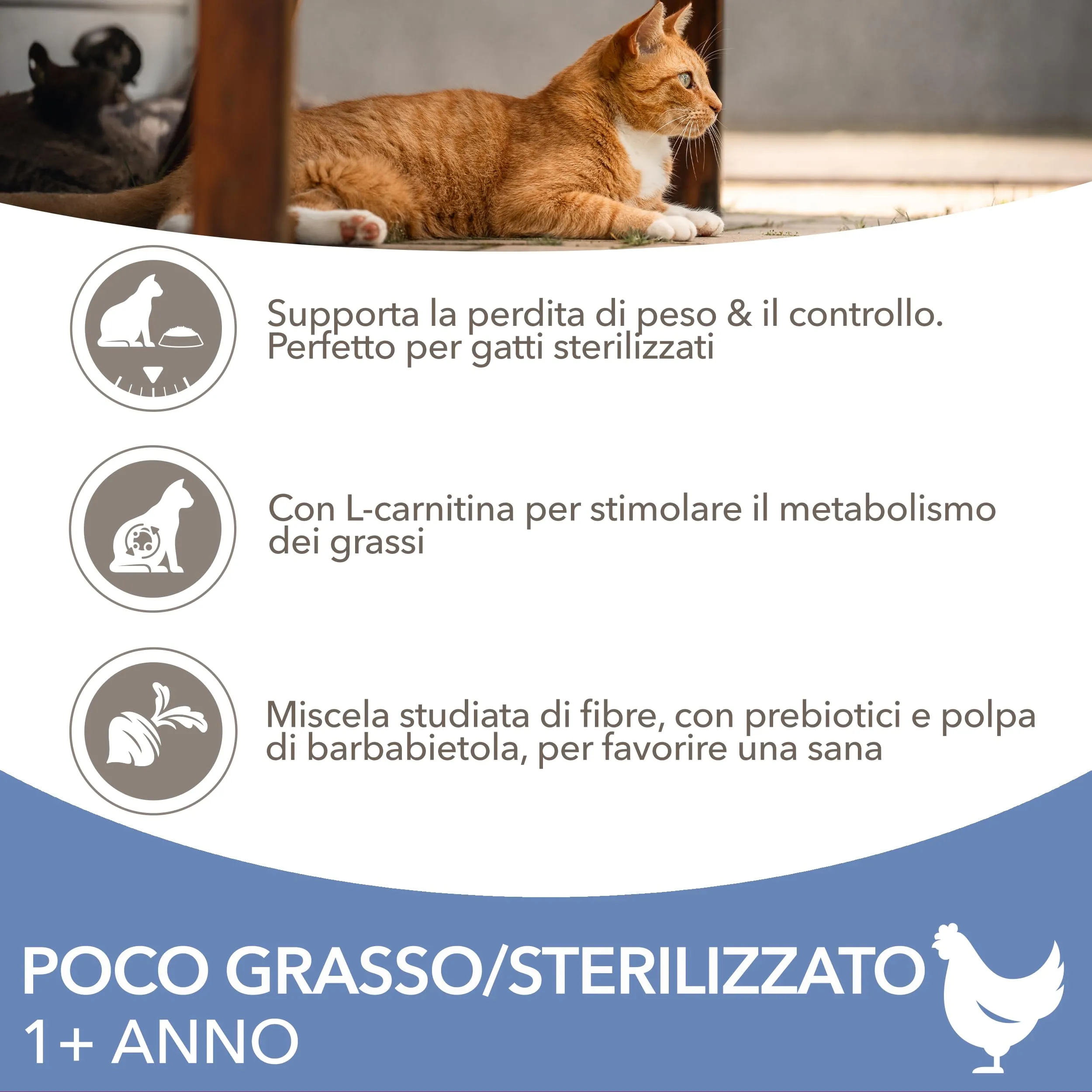 IAMS Poco grasso/Sterilizzato Cibo secco per gatti adulti, 1,5 kg - immagine 3