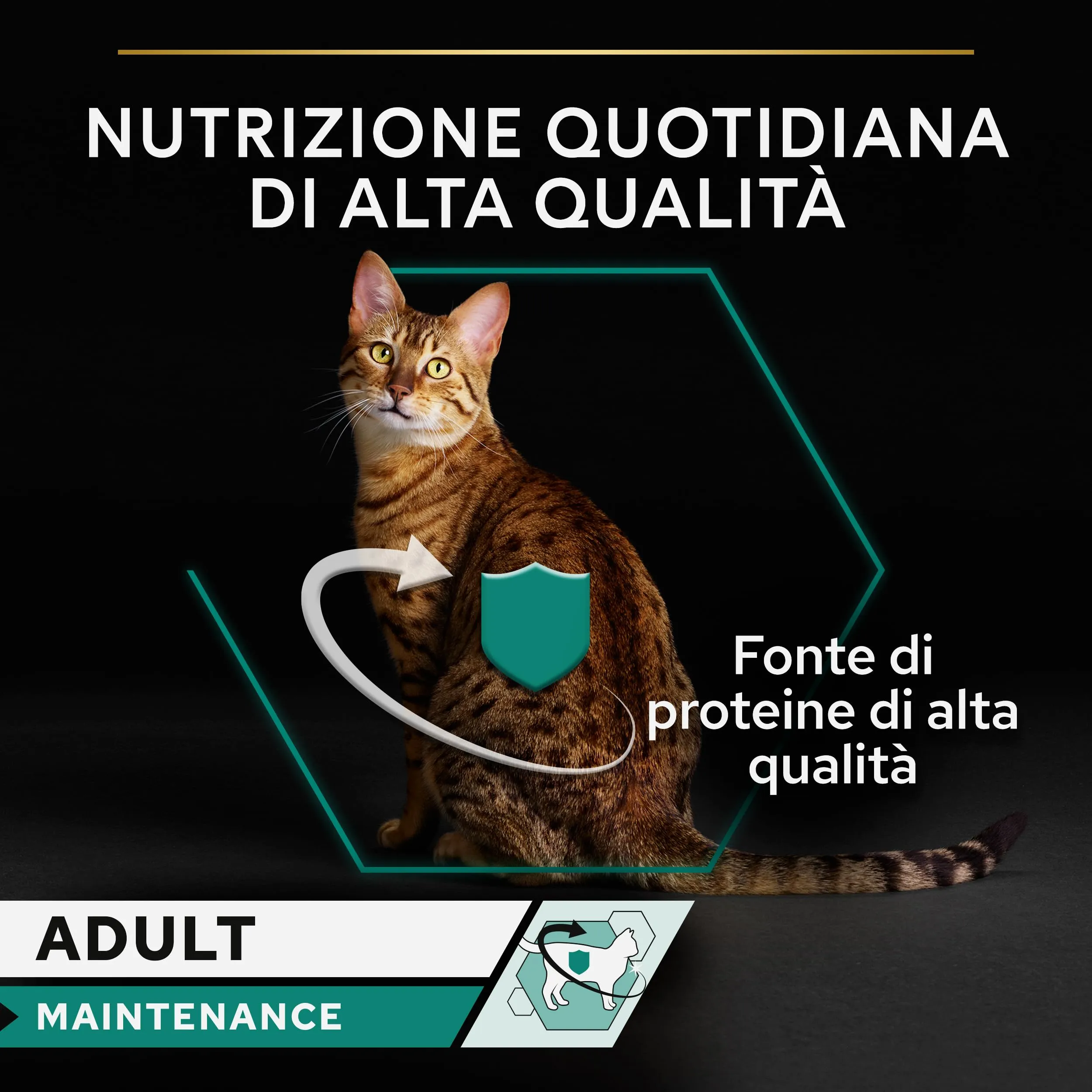 Purina Pro Plan Sterilised Cibo Umido per Gatti Adulti, 24 Lattine da 85g - immagine 5