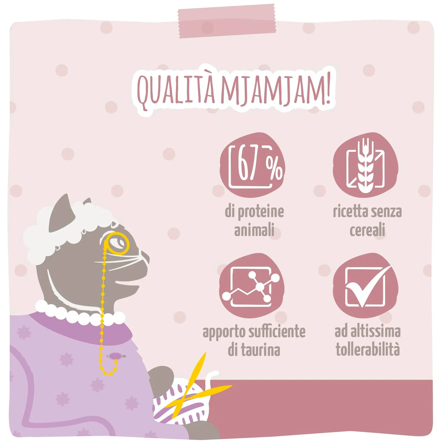 MjAMjAM Crocchette per gatti Senior, Filetto di salmone fresco e pollame, senza cereali, 300 g - immagine 4