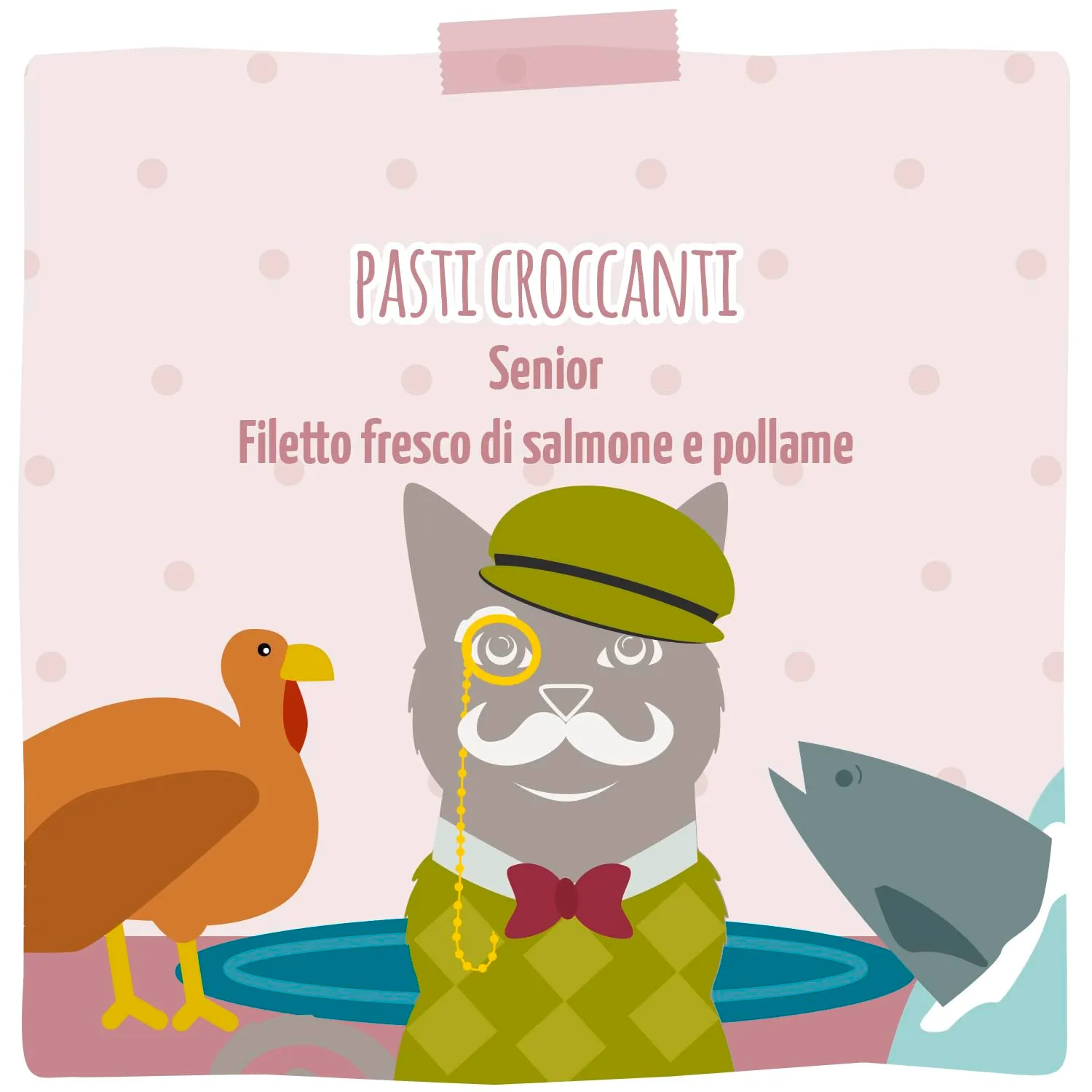MjAMjAM Crocchette per gatti Senior, Filetto di salmone fresco e pollame, senza cereali, 300 g - immagine 5