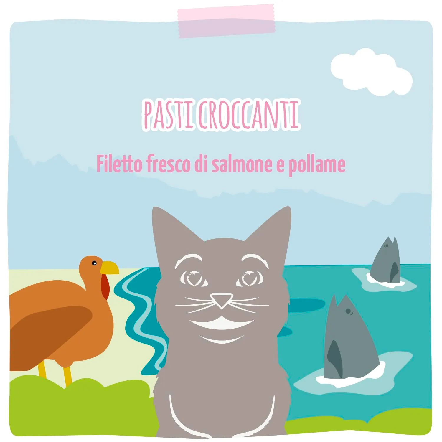 MjAMjAM Crocchette per gatti senza cereali al filetto di salmone fresco e pollame, 300 g - immagine 5