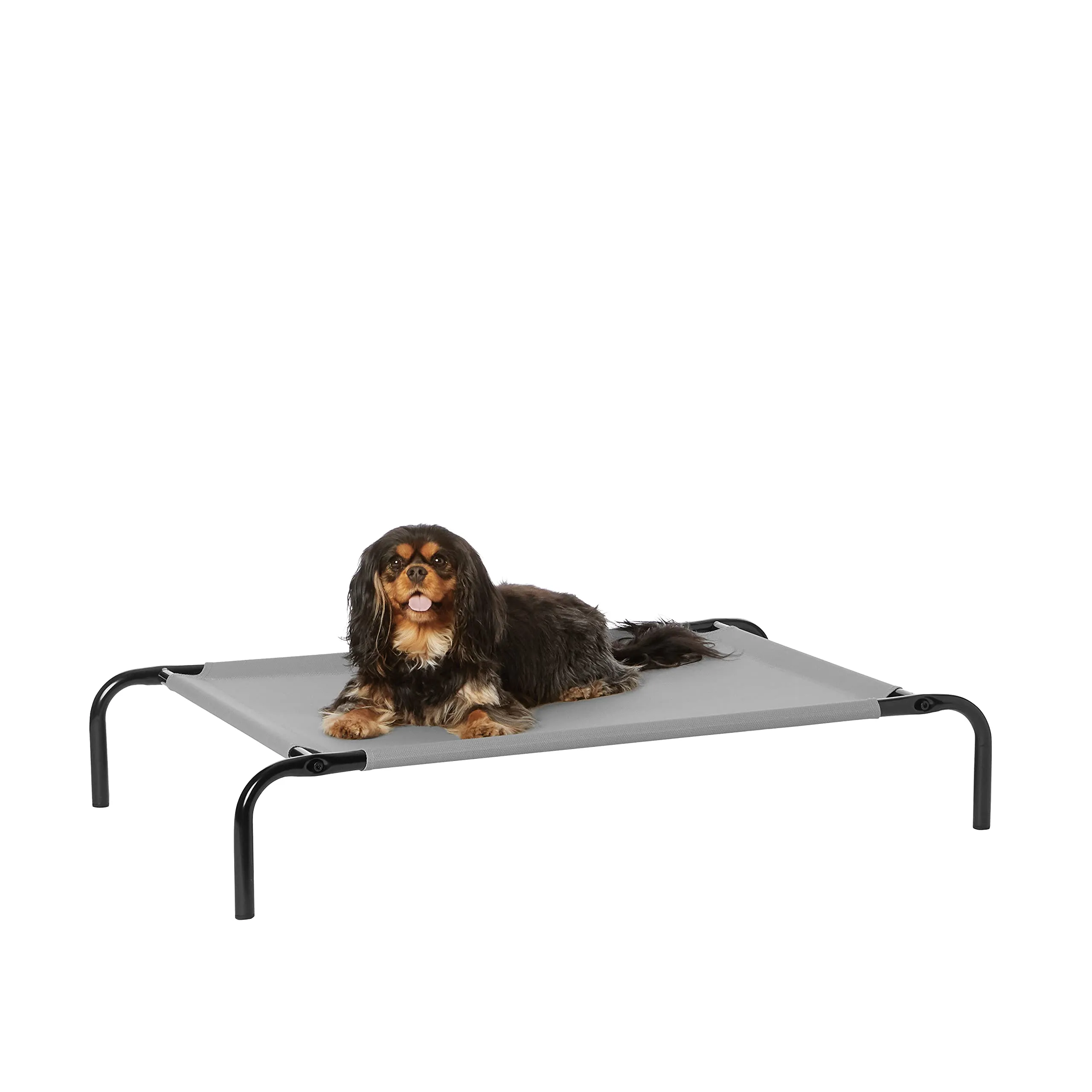 Amazon Basics Lettino Rialzato per Animali Domestici, Misura S, Grigio - immagine 1
