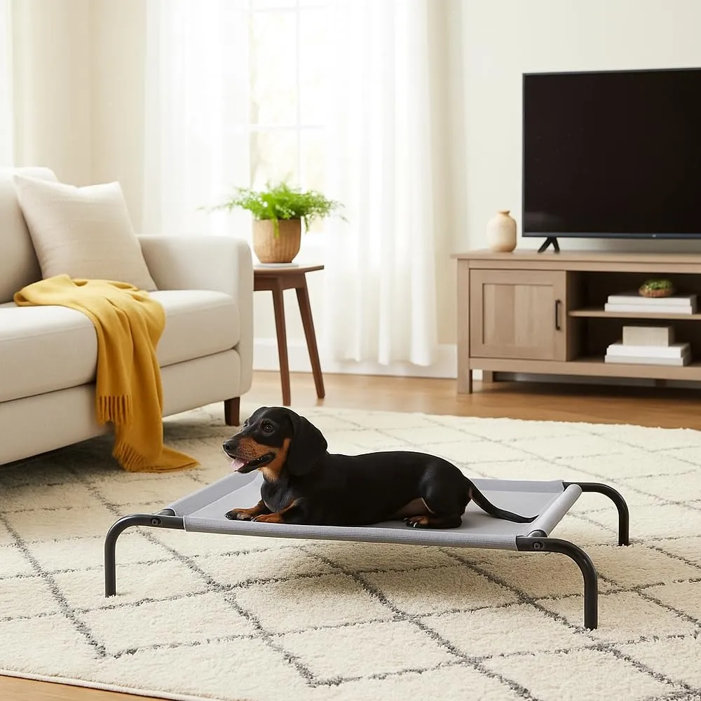 Amazon Basics Lettino Rialzato per Animali Domestici, Misura S, Grigio - immagine 6