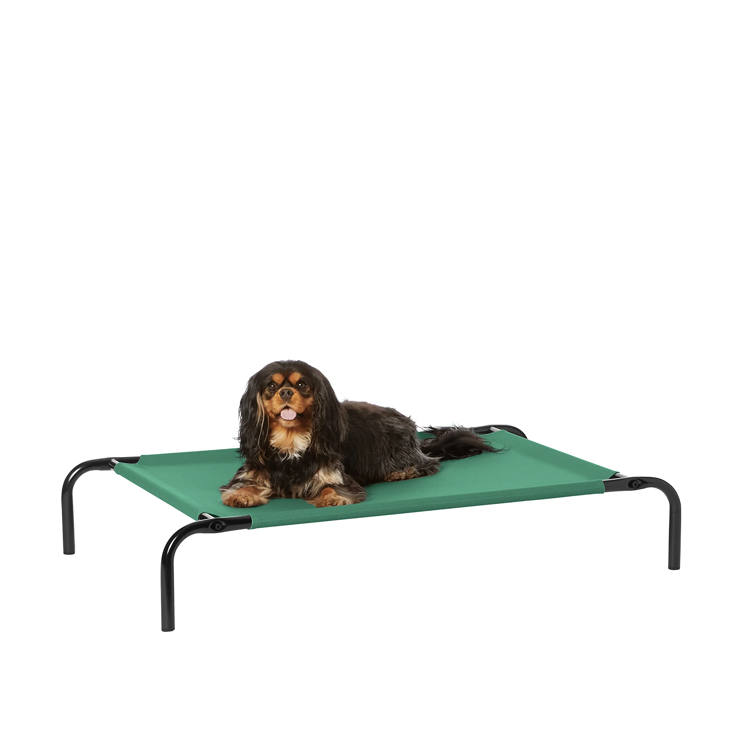 Amazon Basics Lettino Rialzato per Animali Domestici, S, Verde - immagine 1
