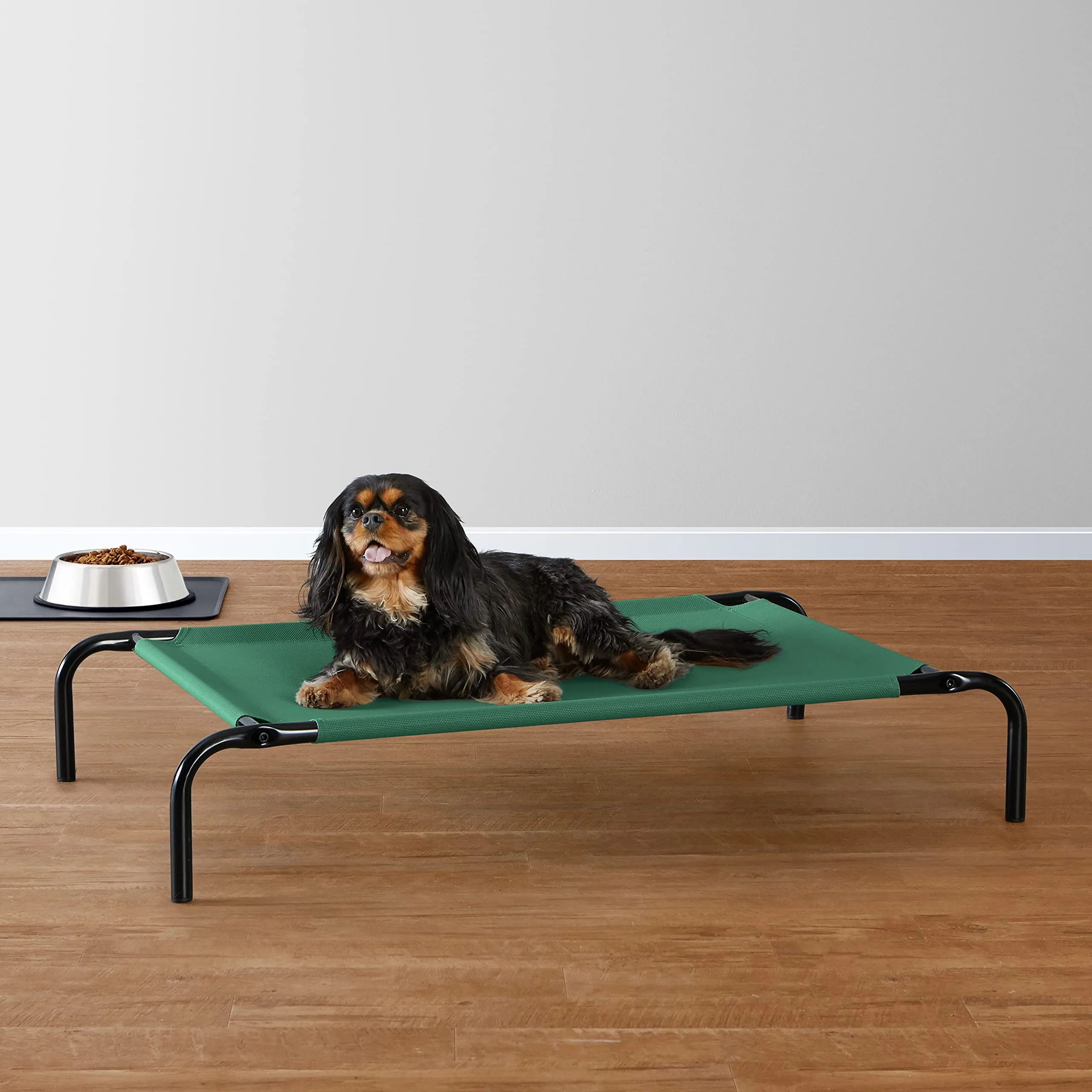 Amazon Basics Lettino Rialzato per Animali Domestici, S, Verde - immagine 5