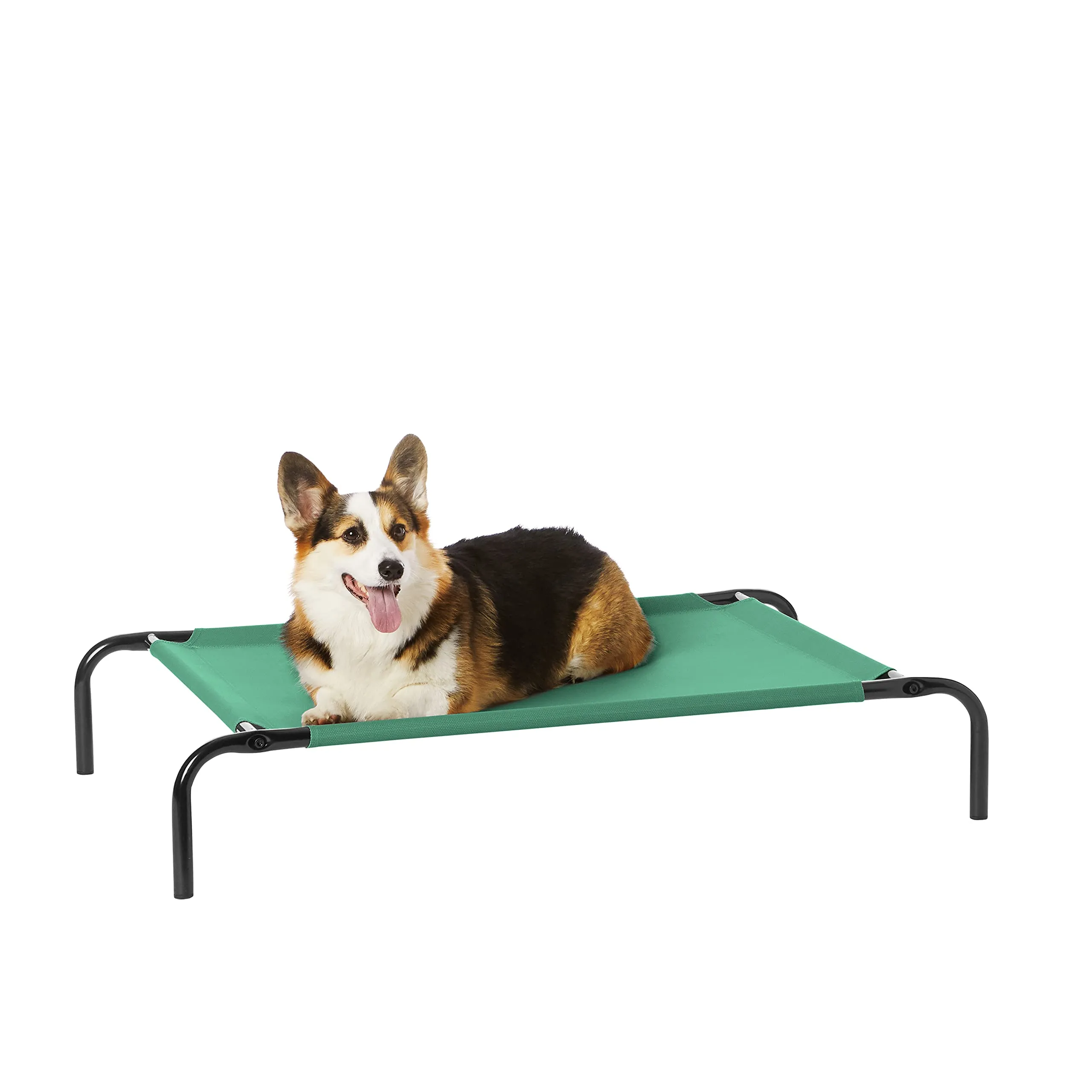 Amazon Basics Lettino Rialzato per Animali Domestici, Misura M, Verde, 110 x 65 x 19 cm - immagine 1