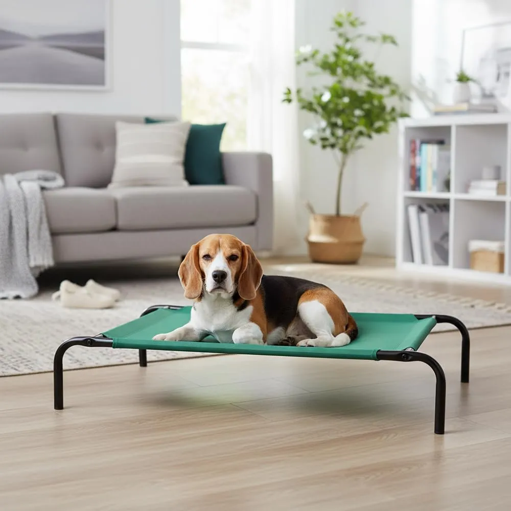 Amazon Basics Lettino Rialzato per Animali Domestici, Misura M, Verde, 110 x 65 x 19 cm - immagine 6
