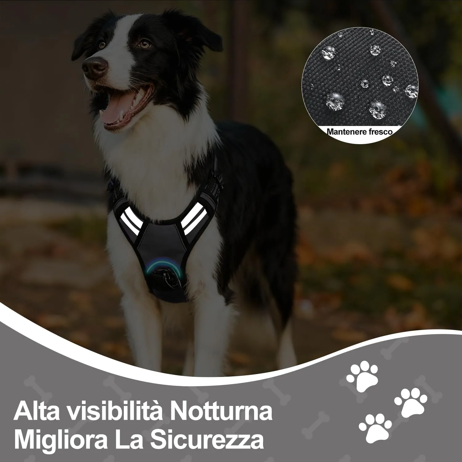 CUEMOON Pettorina per Cani Anti Tiro Riflettente, Nero, M - immagine 5