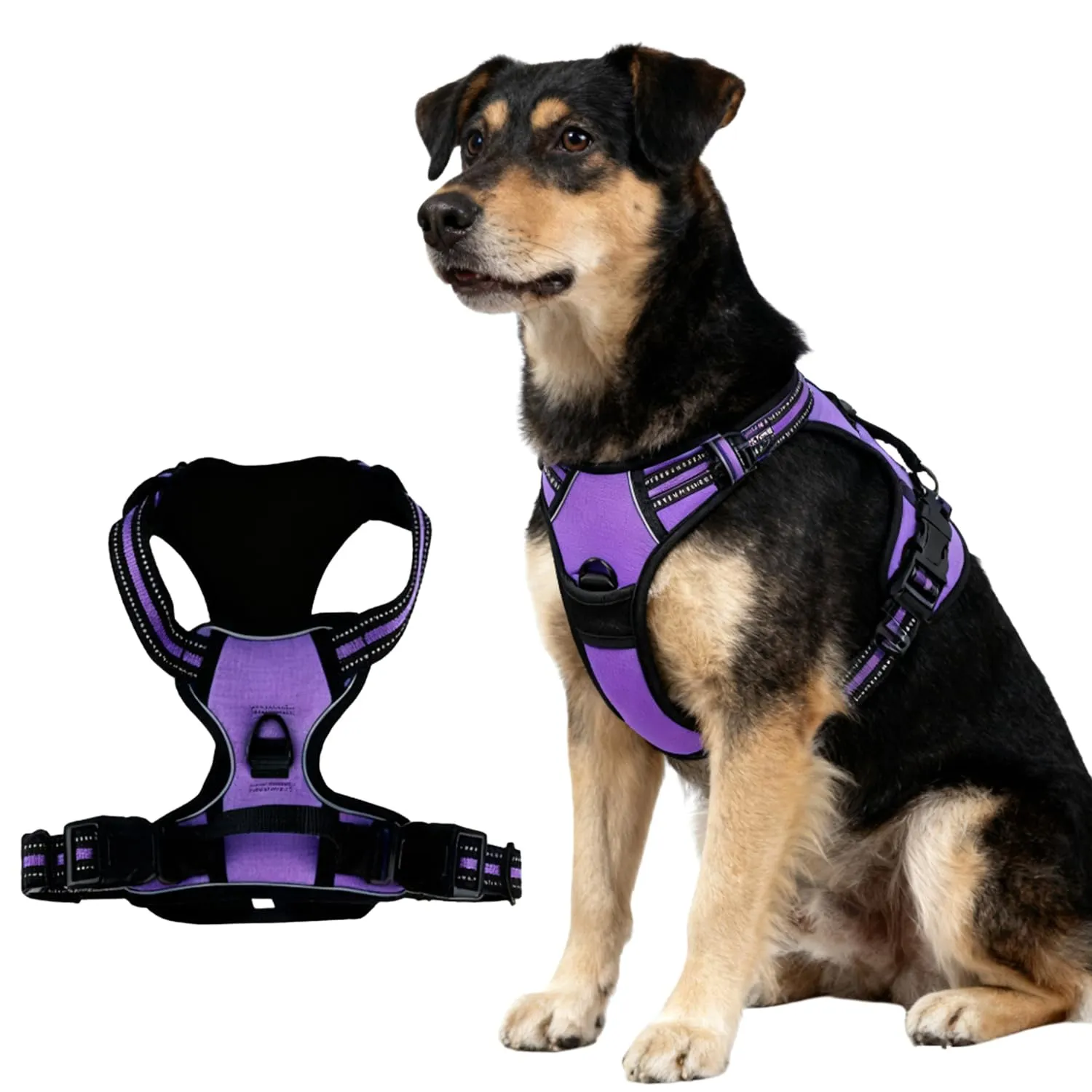 CUEMOON Pettorina per Cani Anti Tiro Riflettente, Viola, S - immagine 1