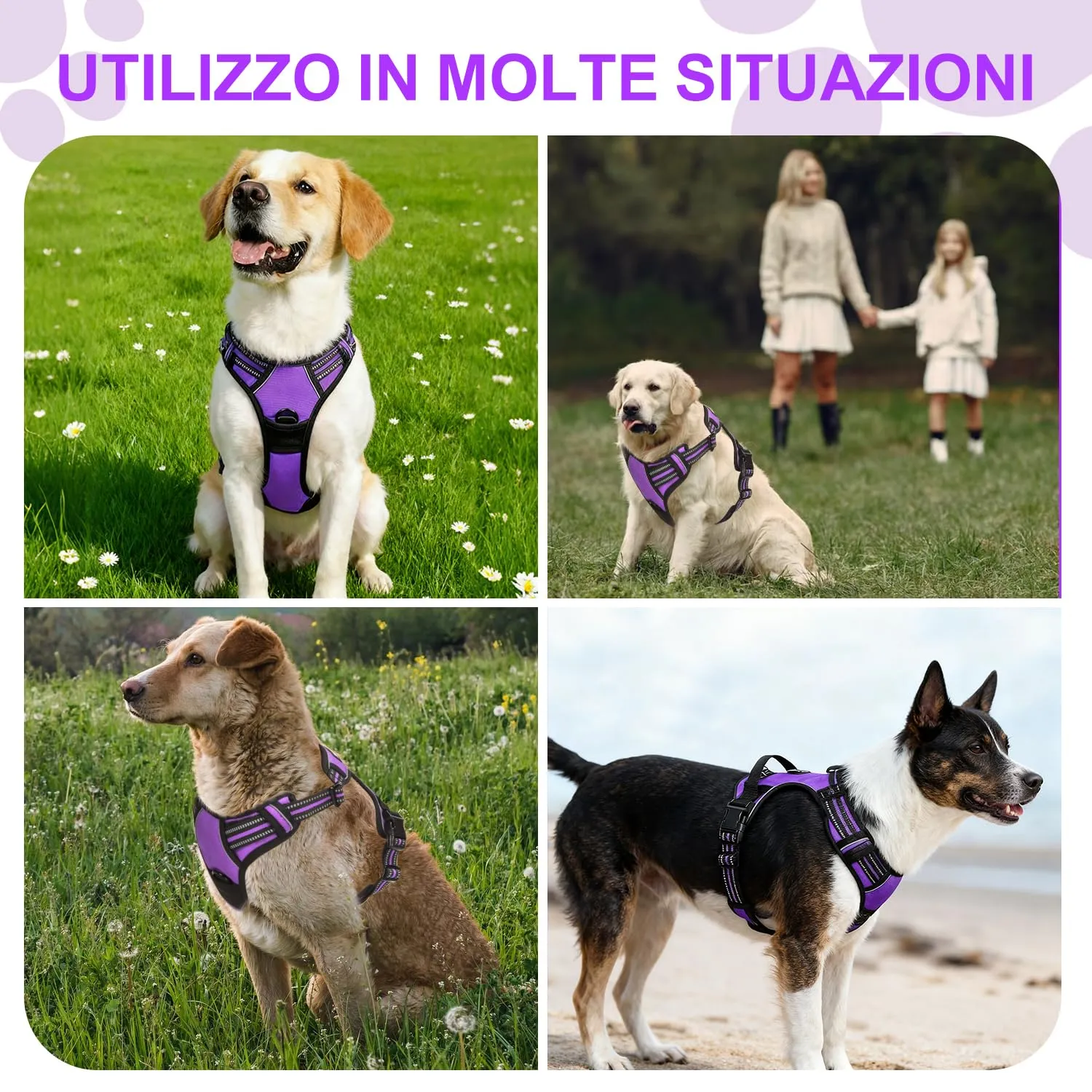 CUEMOON Pettorina per Cani Anti Tiro Riflettente, Viola, S - immagine 6
