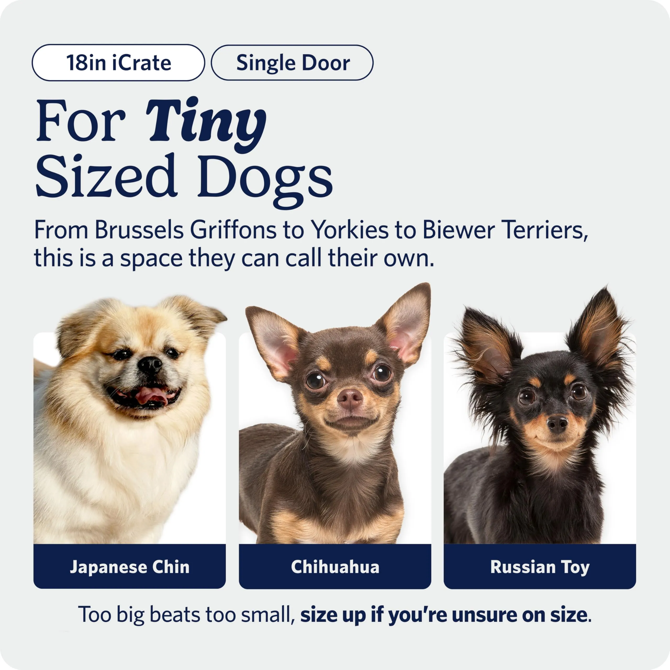 MidWest Homes for Pets iCrate Gabbia per cani a porta singola, nero, mod. 1518 - immagine 2