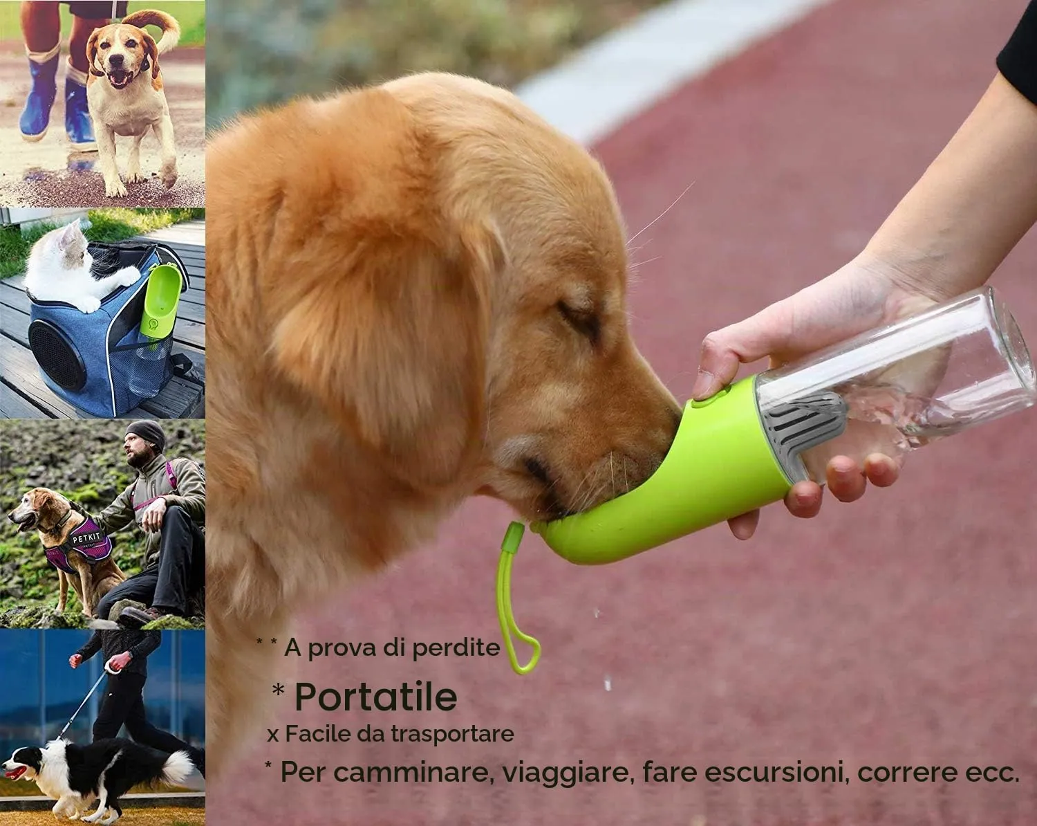 PETKIT Eversweet Borraccia Portatile per Cani, 400 ml, Verde - immagine 7