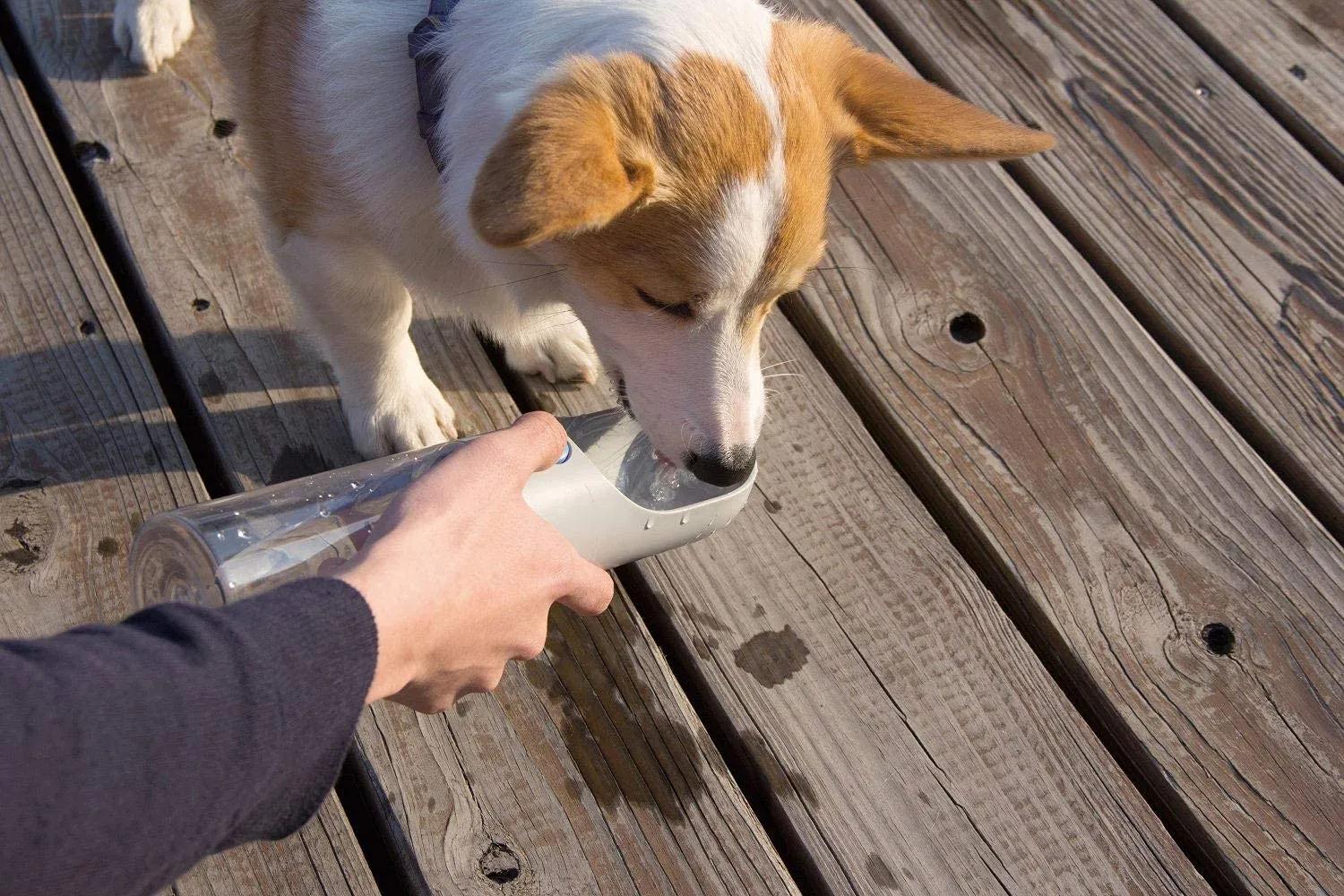 PETKIT Eversweet Borraccia Portatile per Cani, 400 ml, Grigio - immagine 9