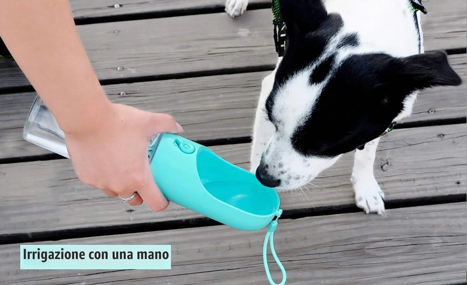 PETKIT Eversweet Borraccia Portatile per Cani, 400 ml, Blu - immagine 7