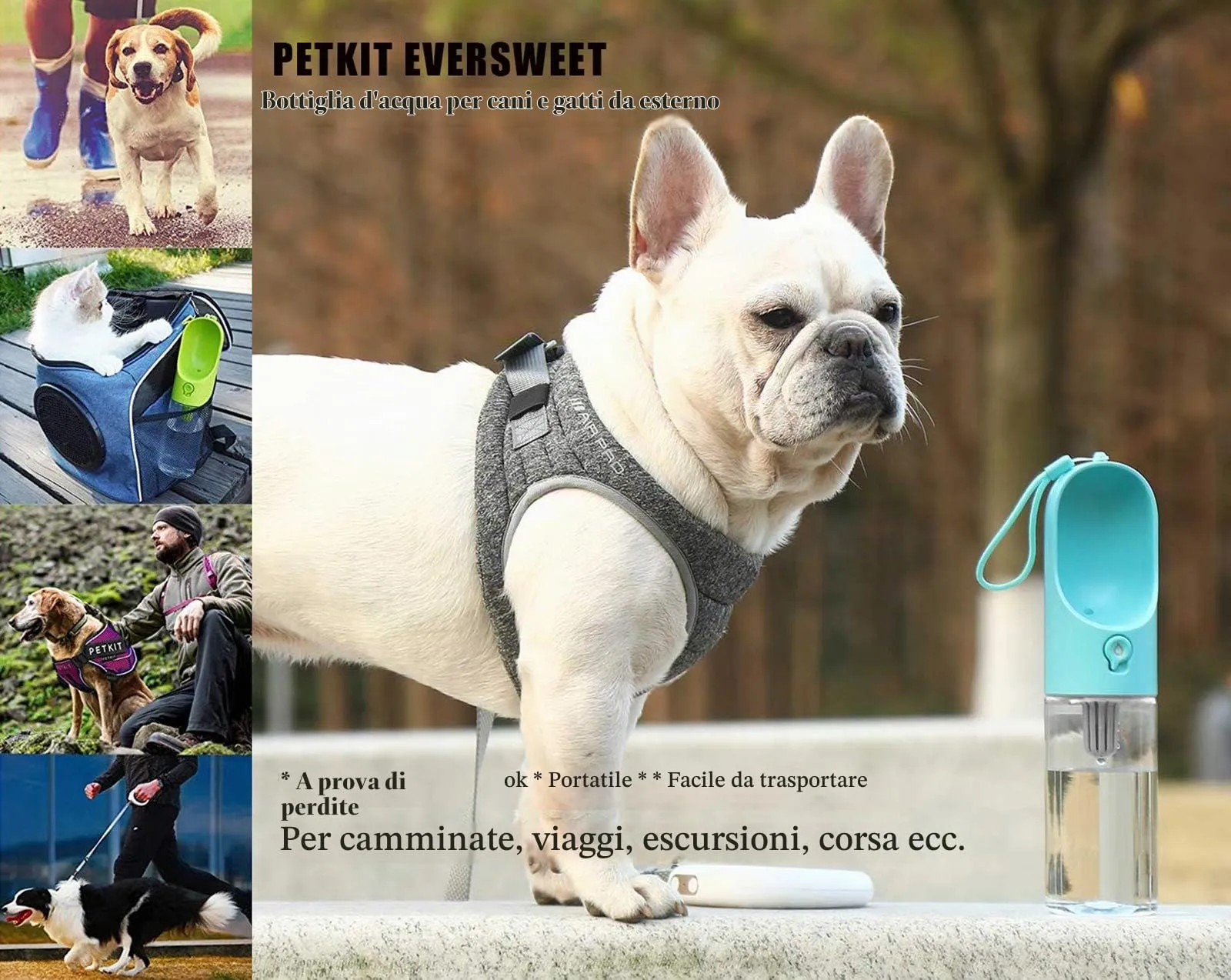 PETKIT Eversweet Borraccia Portatile per Cani, 400 ml, Blu - immagine 9