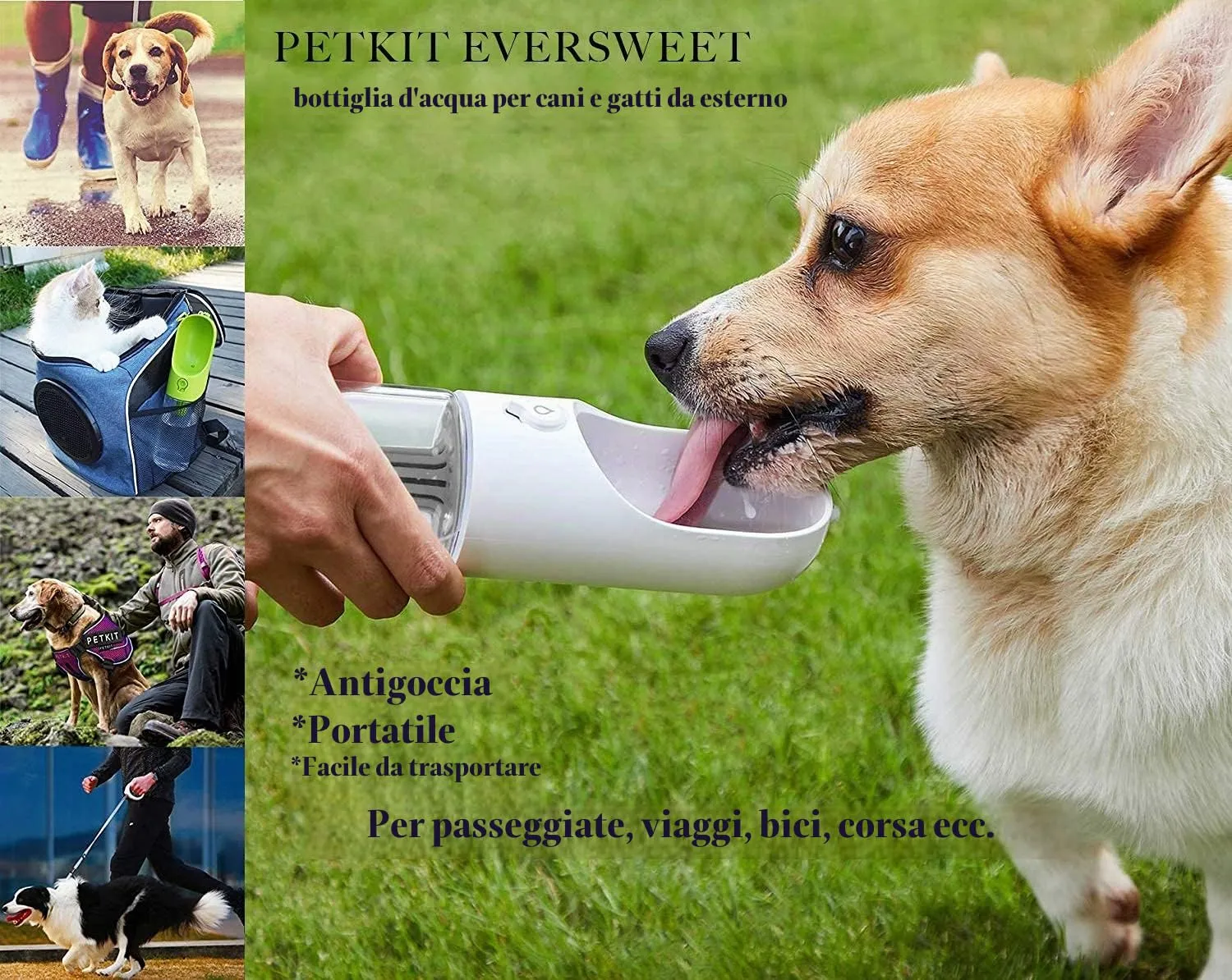 PETKIT Eversweet Borraccia Portatile per Cani, 400 ml, Bianco - immagine 7