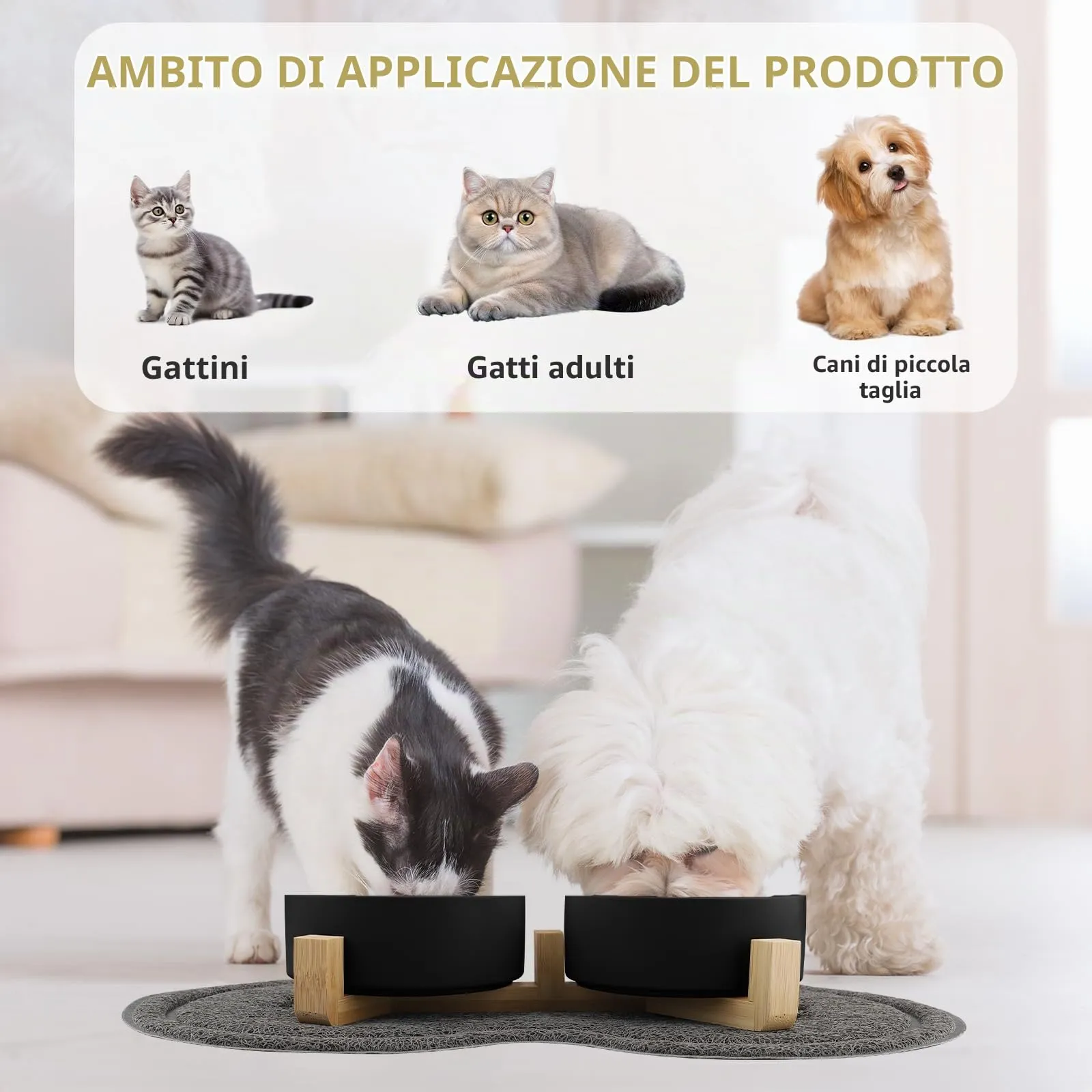 Zosenyer Ciotole per Gatti in Ceramica con Staffa, 400ml, Set da 2 Ciotole (Nero) - immagine 3