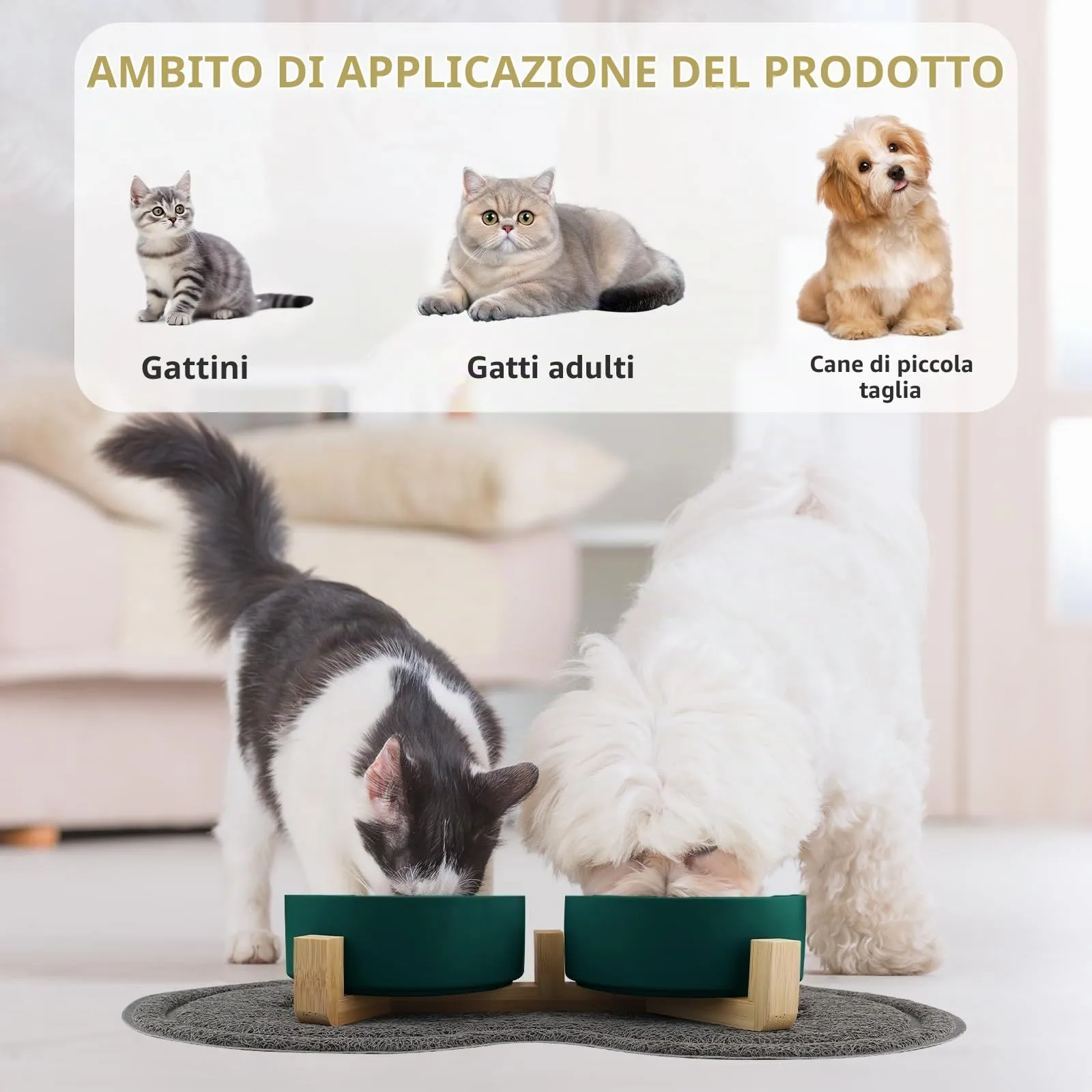 Zosenyer Ciotole per Gatti in Ceramica con Staffa, 400ml, Set da 2 Ciotole (Verde) - immagine 3