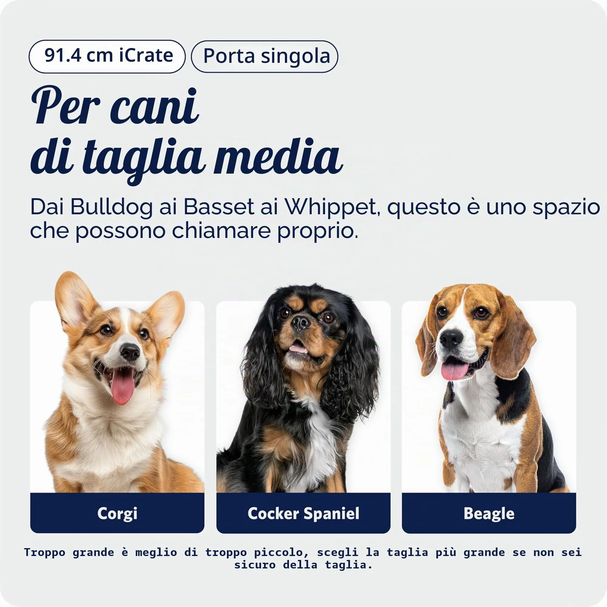 MidWest Homes for Pets iCrate Gabbia per cani a due porte, 90,42 cm, Nero, Modello 1536DDU - immagine 2