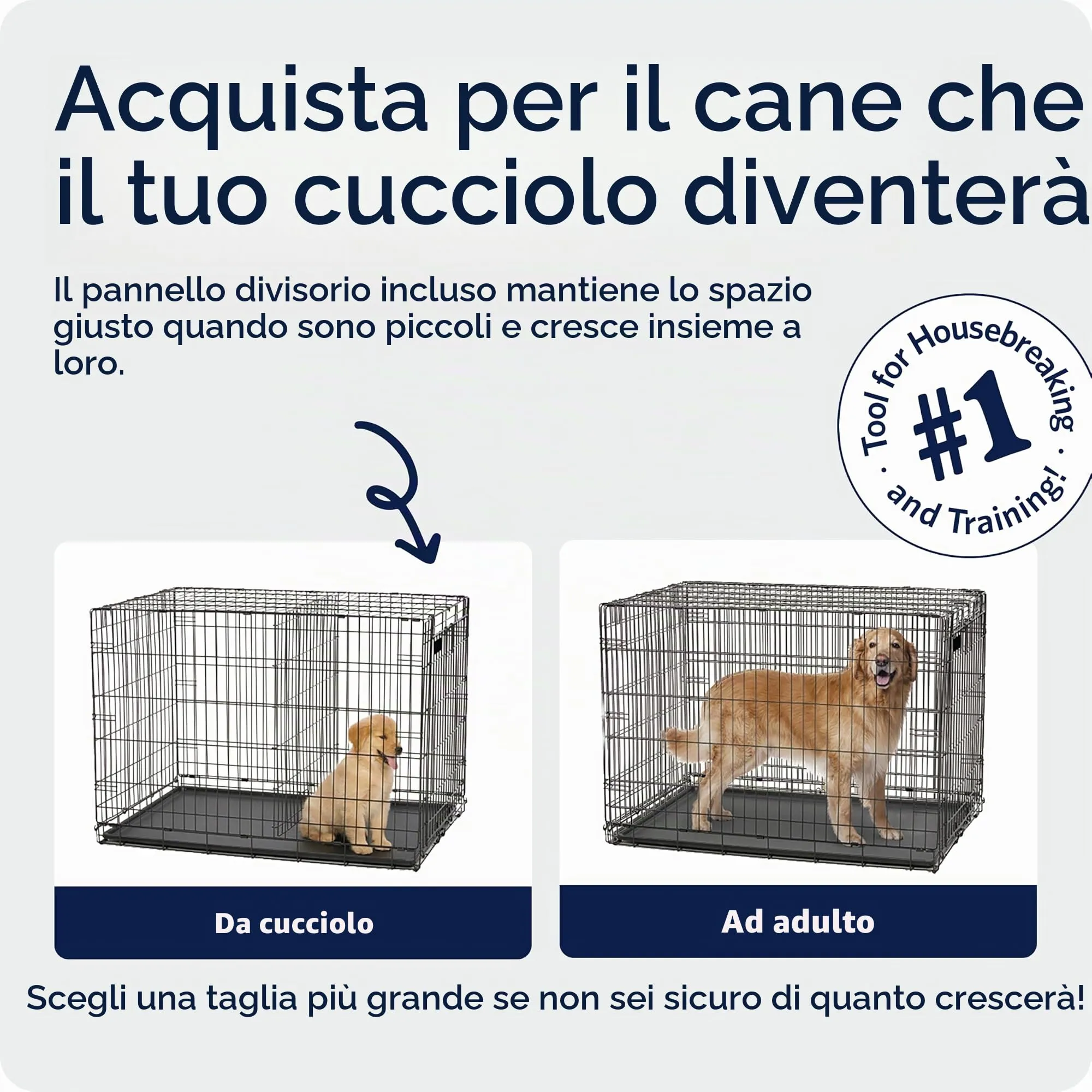MidWest Homes for Pets iCrate Gabbia per cani a porta singola, nero, mod. 1536DDU - immagine 3