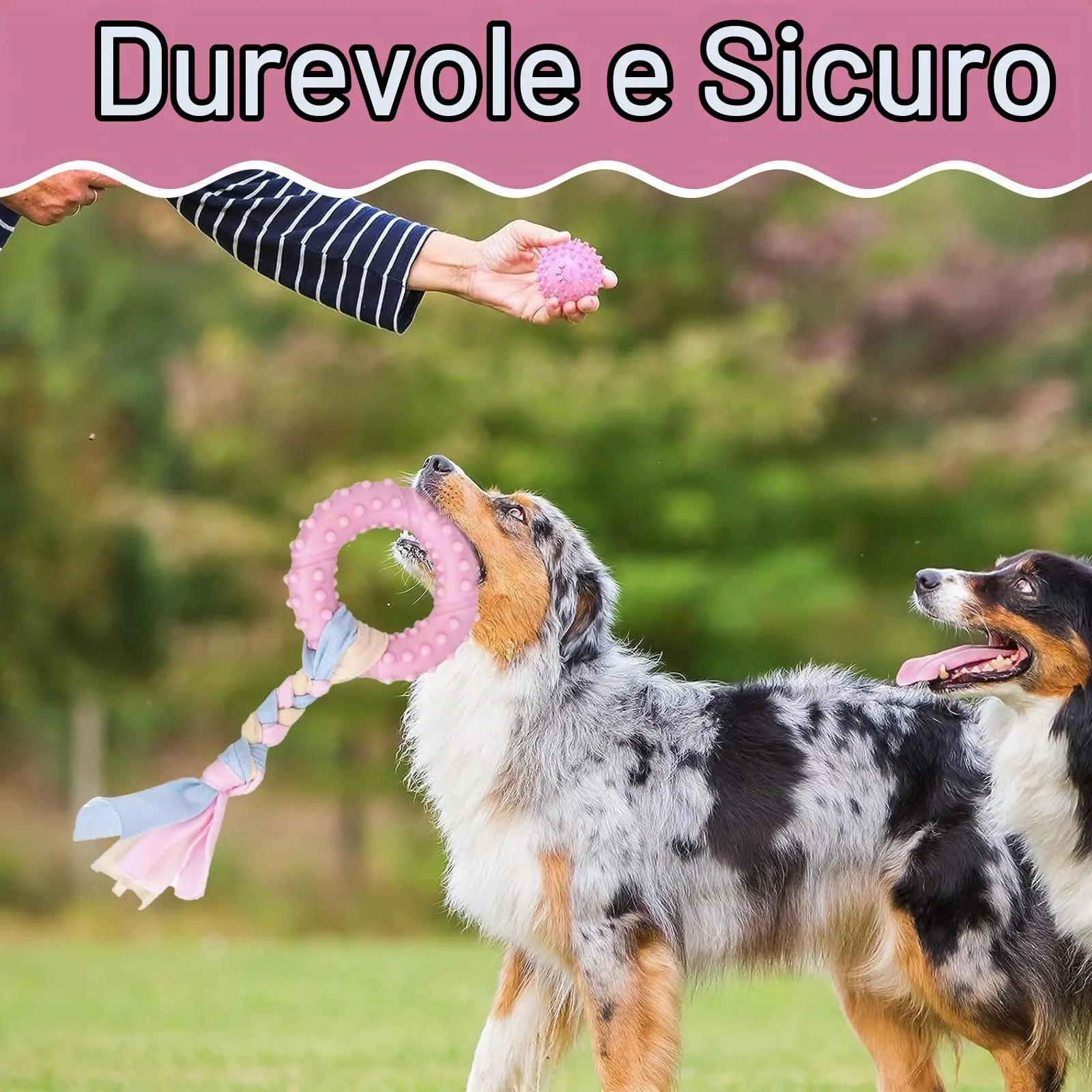 Ajuanbazha Set di 5 Giocattoli da Masticare per Cuccioli in Gomma Naturale e Corde di Cotone, Piccola e Media Taglia - immagine 6