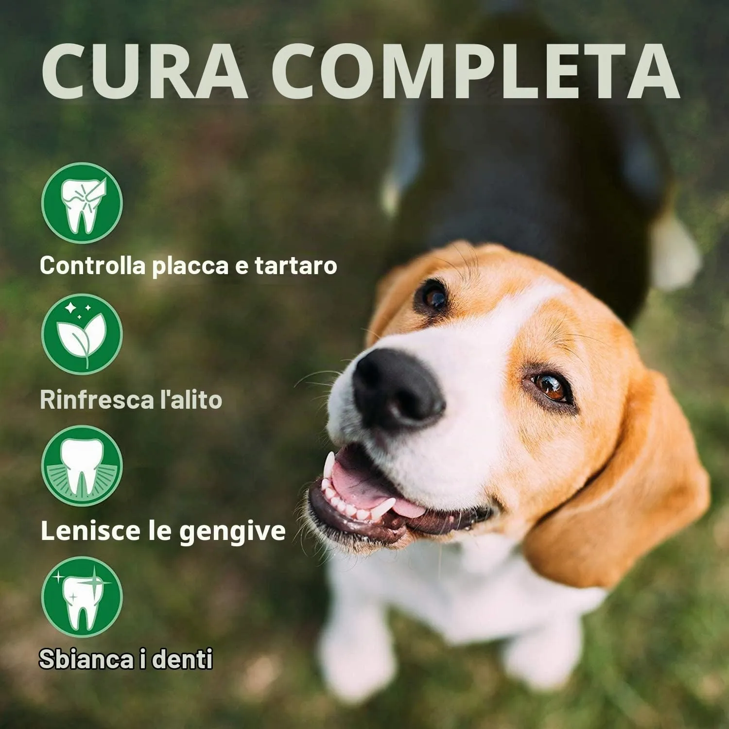 Vet's Best Spazzolino a tre teste per cani - immagine 4
