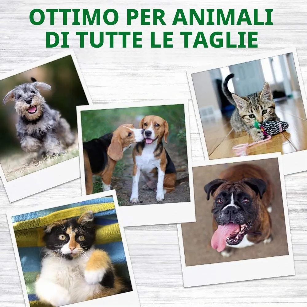 Vet's Best Spazzolino a tre teste per cani - immagine 6