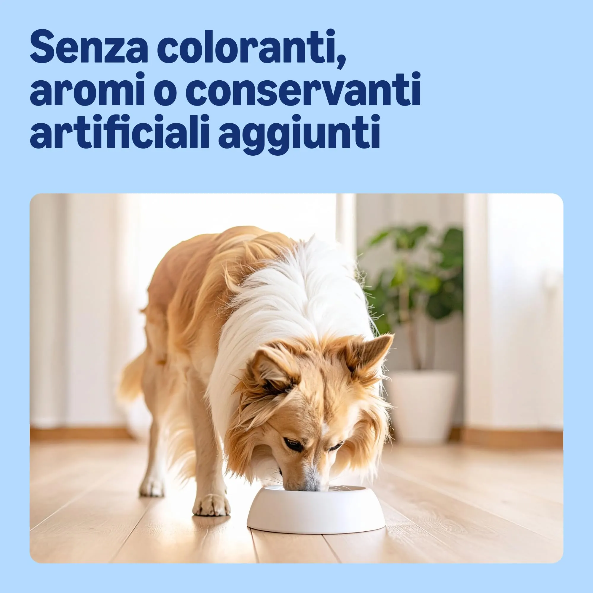 by Amazon Alimento secco completo per cani adulti agnello e riso, 20 kg - immagine 4