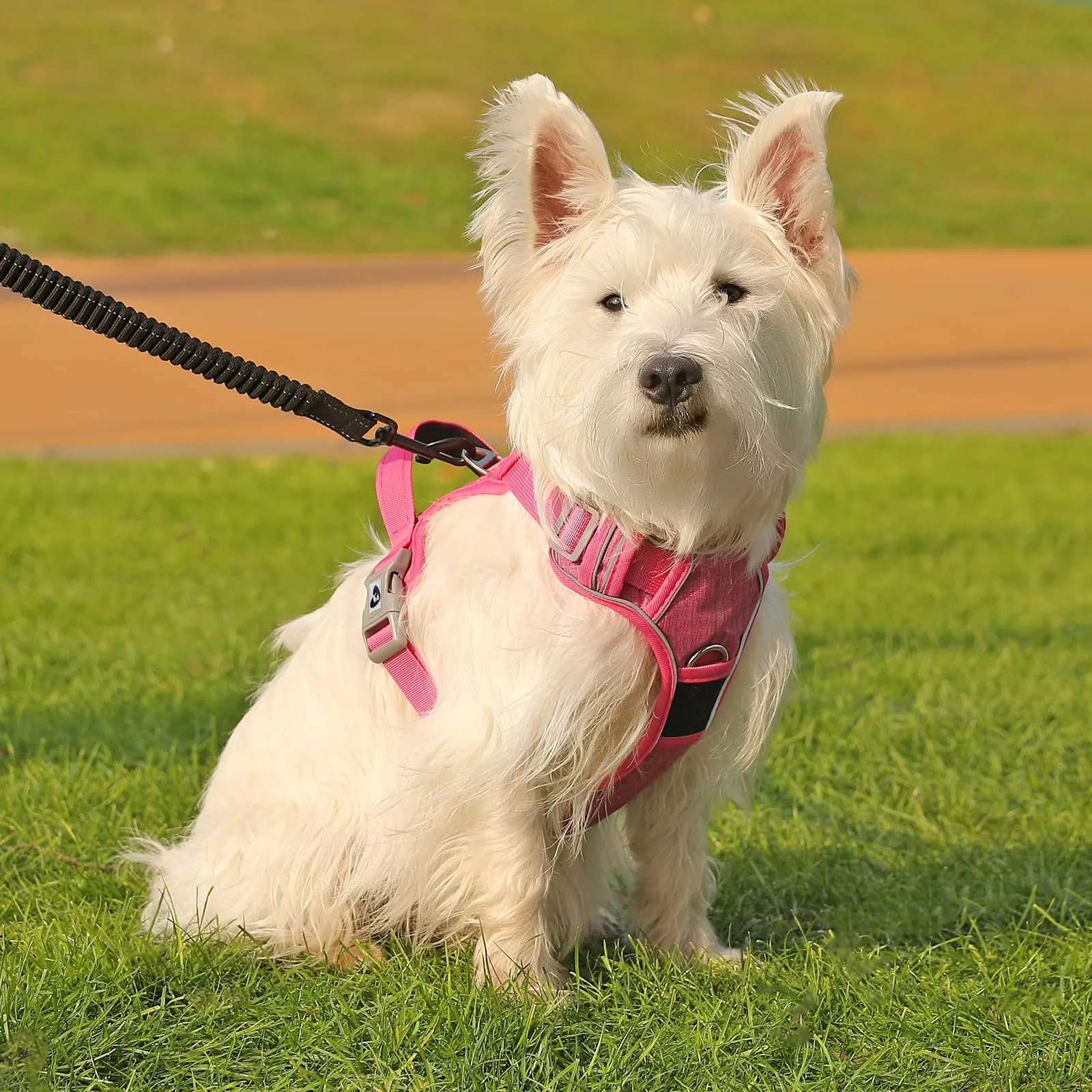 COMSLE Pettorina Anti Tiro per Cani, Riflettente e Traspirante, Rosa, XL - immagine 7
