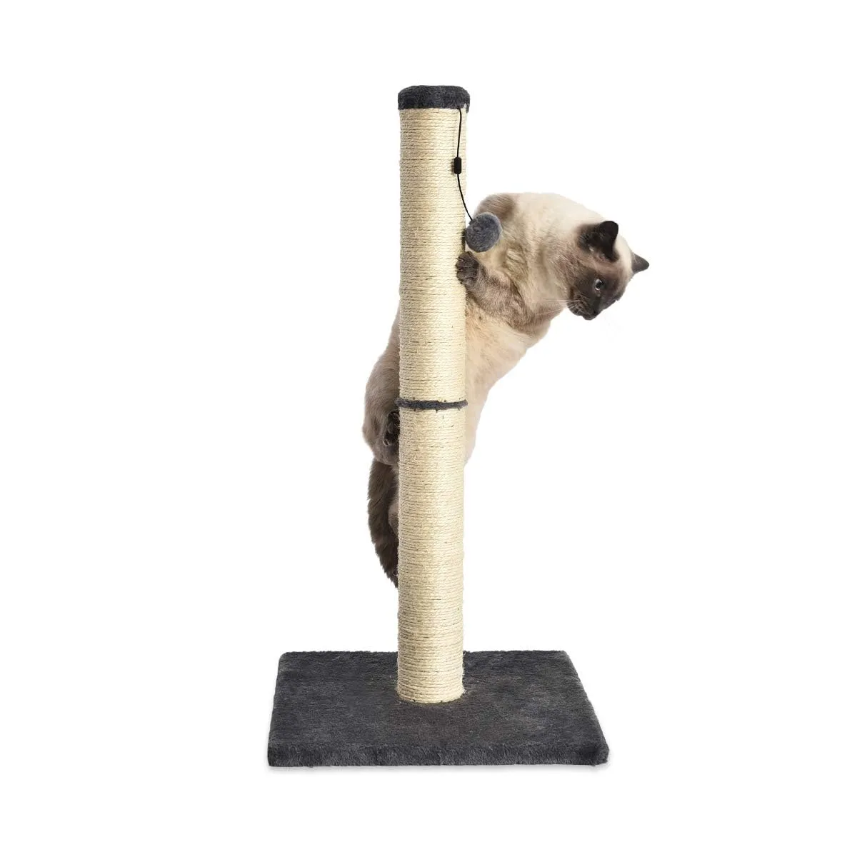Amazon Basics Tiragraffi per Gatti da Interno con Giocattolo Pendente, 80 cm, Grigio - immagine 4