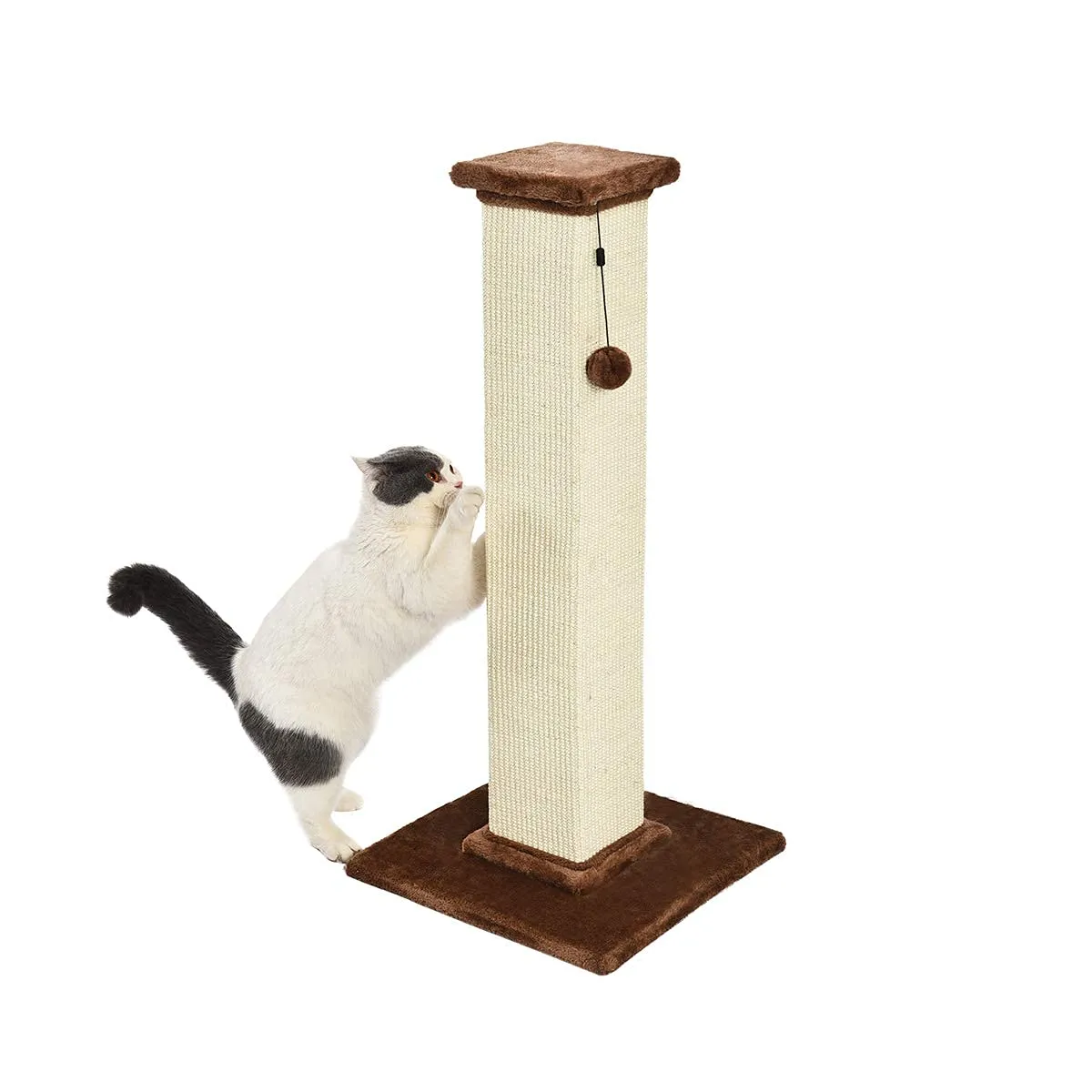 Amazon Basics Tiragraffi per Gatti da Interno, 90 cm, Marrone - immagine 1