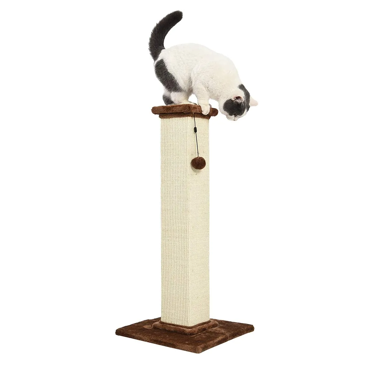 Amazon Basics Tiragraffi per Gatti da Interno, 90 cm, Marrone - immagine 3