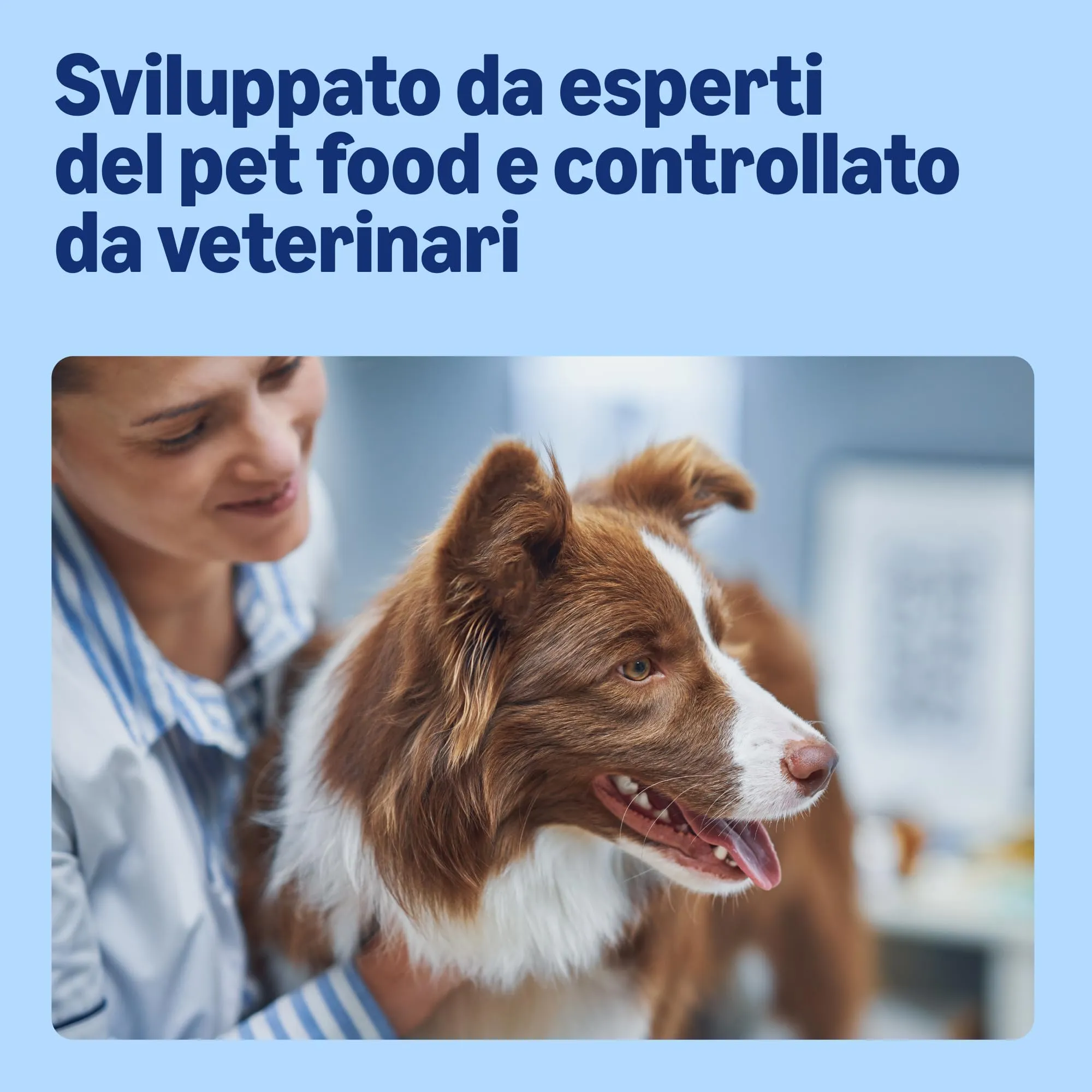 by Amazon Alimento secco completo per cani adulti al pollo con piselli, 5 kg - immagine 3