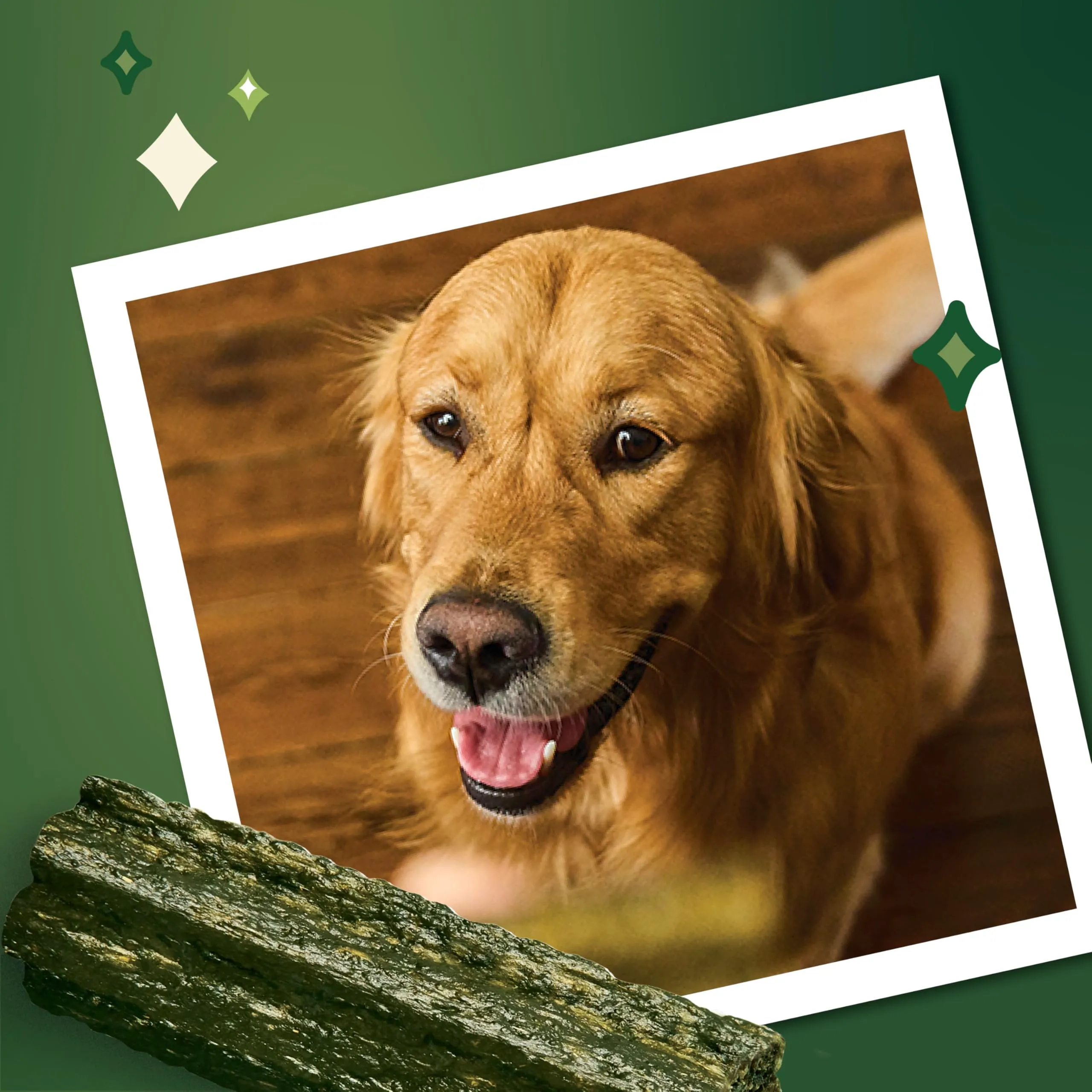 Lily's Kitchen Woofbrush Bastoncini Dentali Grandi per Cani Adulti (7 x 47g) - immagine 5