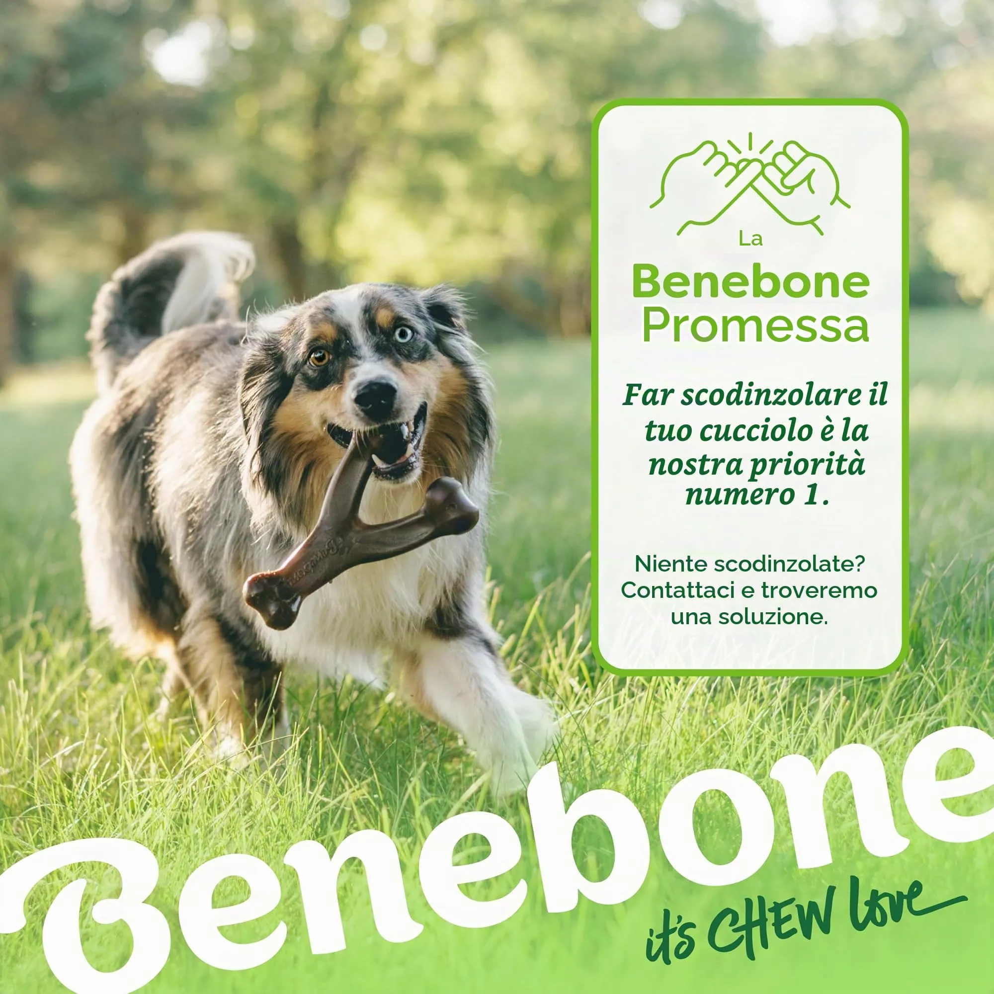 Benebone Wishbone Gioco da Masticare per Cani, Bacon Reale, Giant - immagine 6