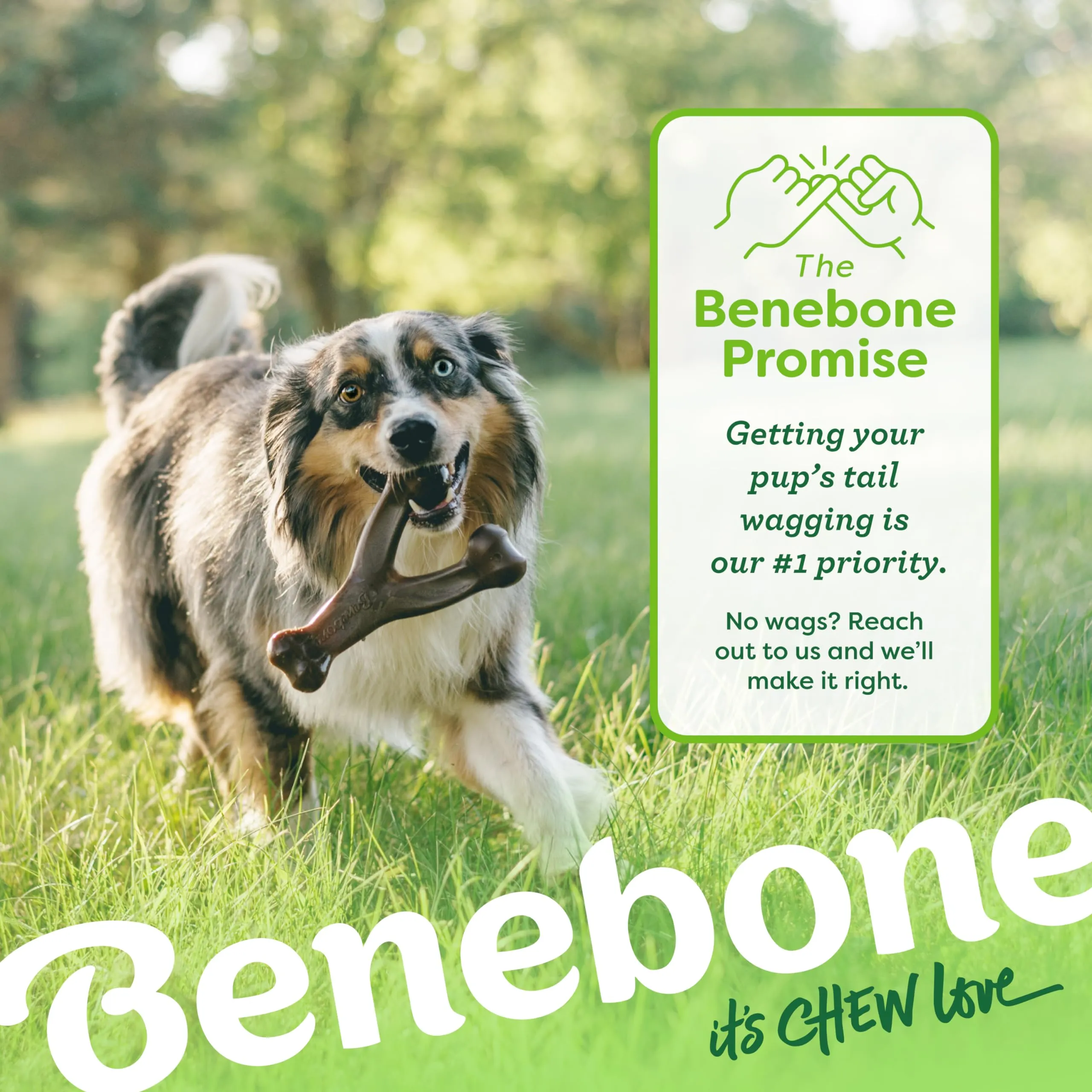 Benebone Wishbone Gioco da Masticare per Cani, Pollo Reale, Gigante - immagine 6