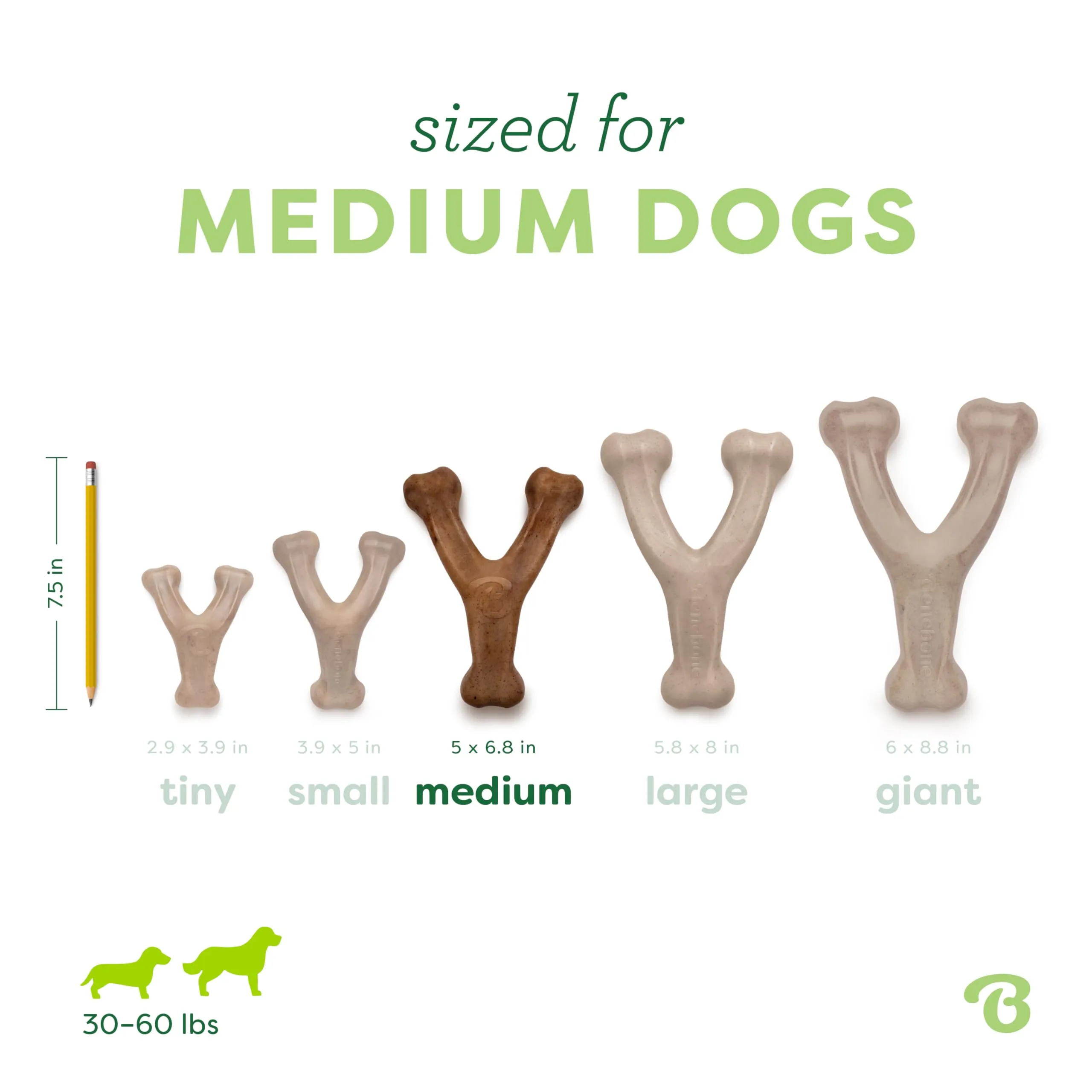 Benebone Wishbone Gioco da Masticare per Cani, Bacon Reale, Medio - immagine 4