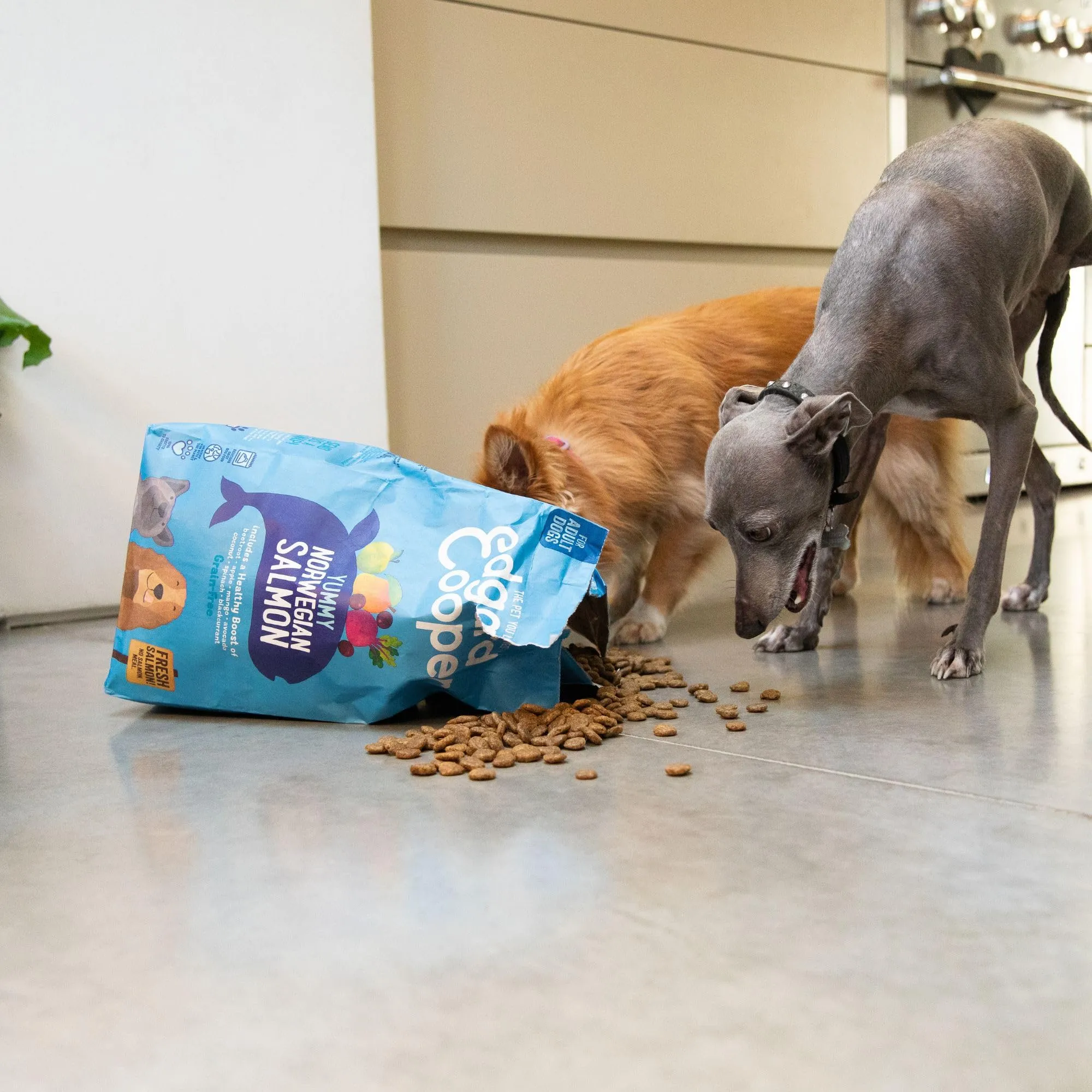 Edgard & Cooper Crocchette Cani Adulti Taglia Medium, Salmone Fresco, Zucca, Cavolo Riccio e Patata Dolce, Ipoallergenica, 7kg - immagine 2
