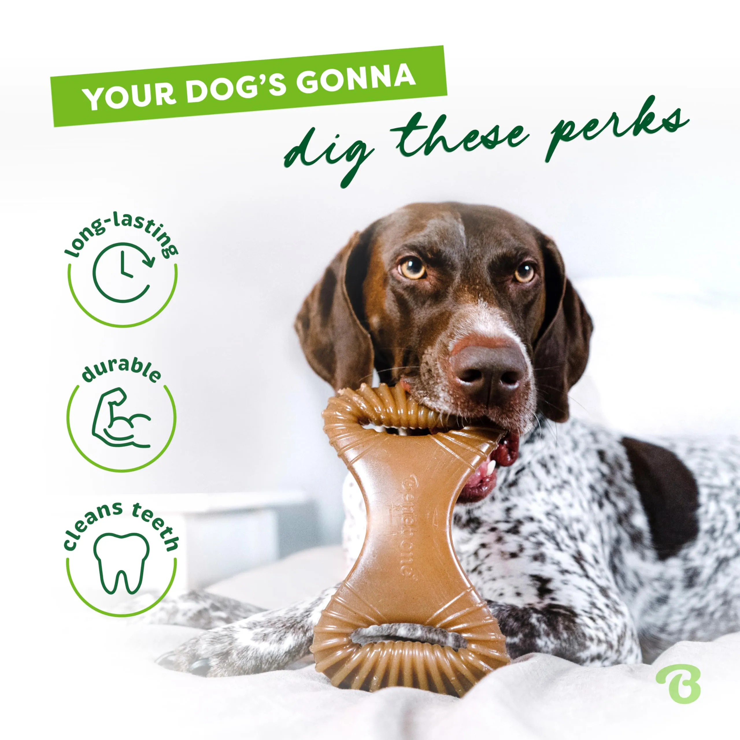 Benebone Dental Gioco da Masticare per Cani, Pollo Reale, Medium - immagine 3