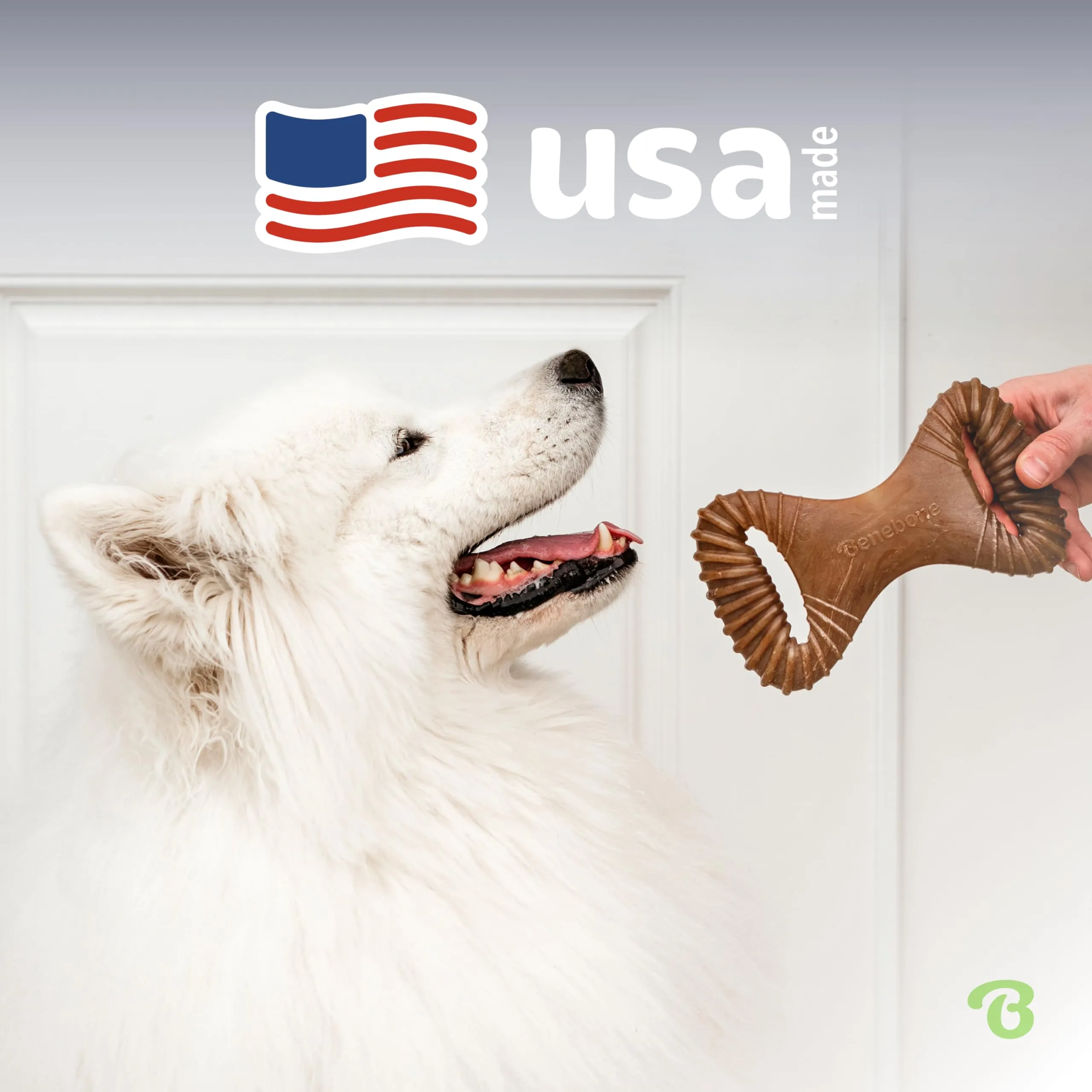 Benebone Dental Gioco da Masticare per Cani, Pollo Reale, Medium - immagine 5