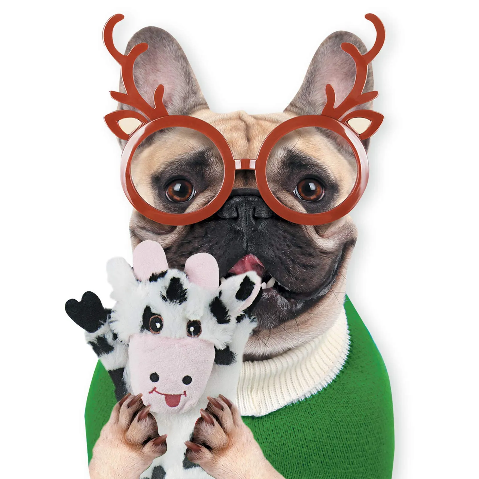 SHARLOVY Set di 5 giocattoli in peluche per cani di taglia media e grande, senza imbottitura con squeak e fruscio - immagine 8