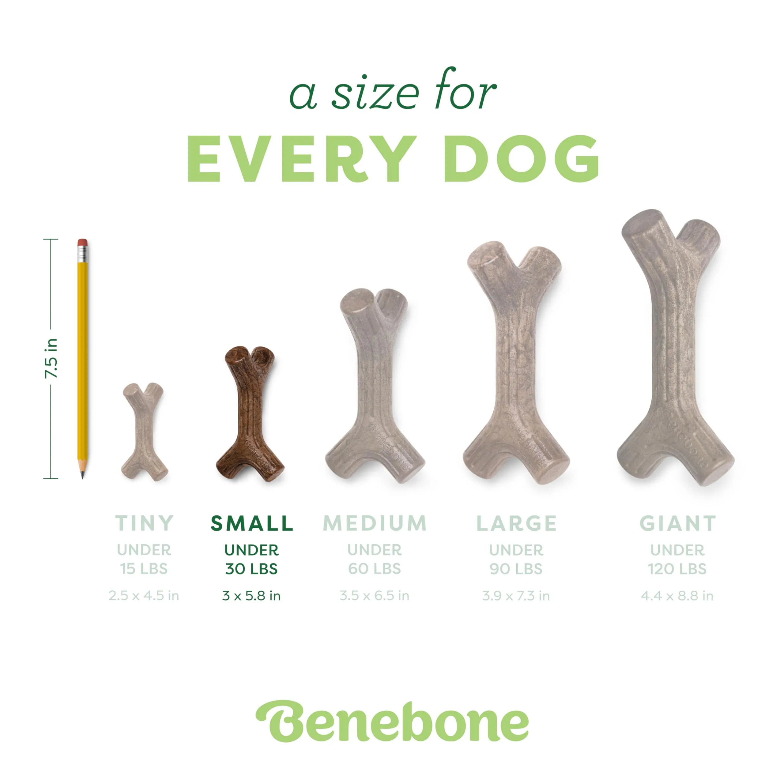 Benebone Maplestick Gioco Resistente in Vero Legno, Piccolo - immagine 4