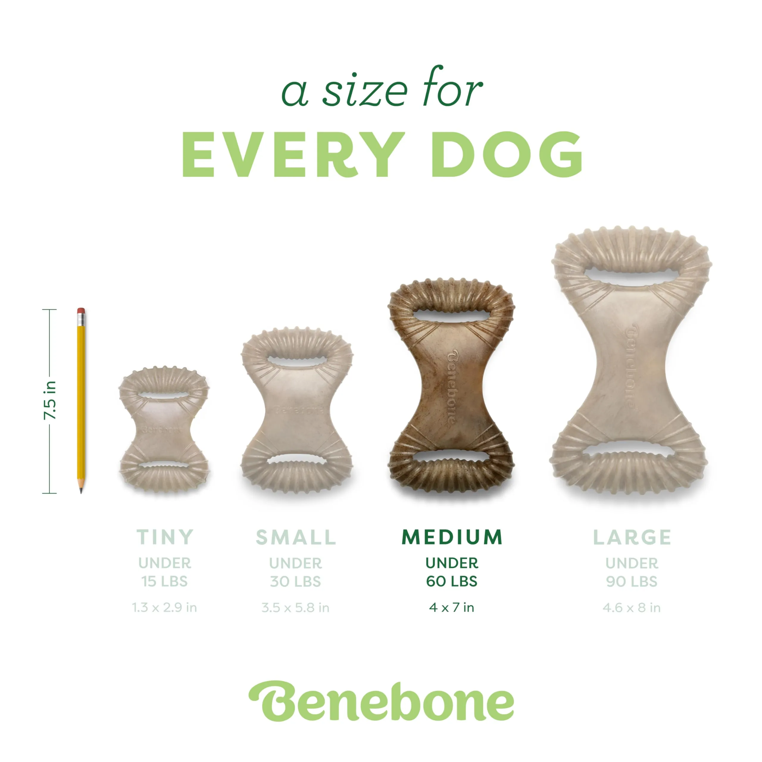 Benebone Dental Gioco da Masticare per Cani, Arachidi Reali, Medio - immagine 4