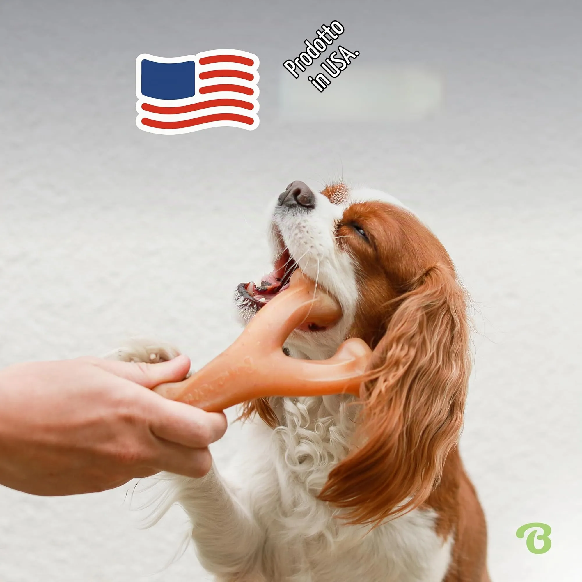 Benebone Wishbone Gioco da Masticare per Cani, Bacon Reale, Grande - immagine 5