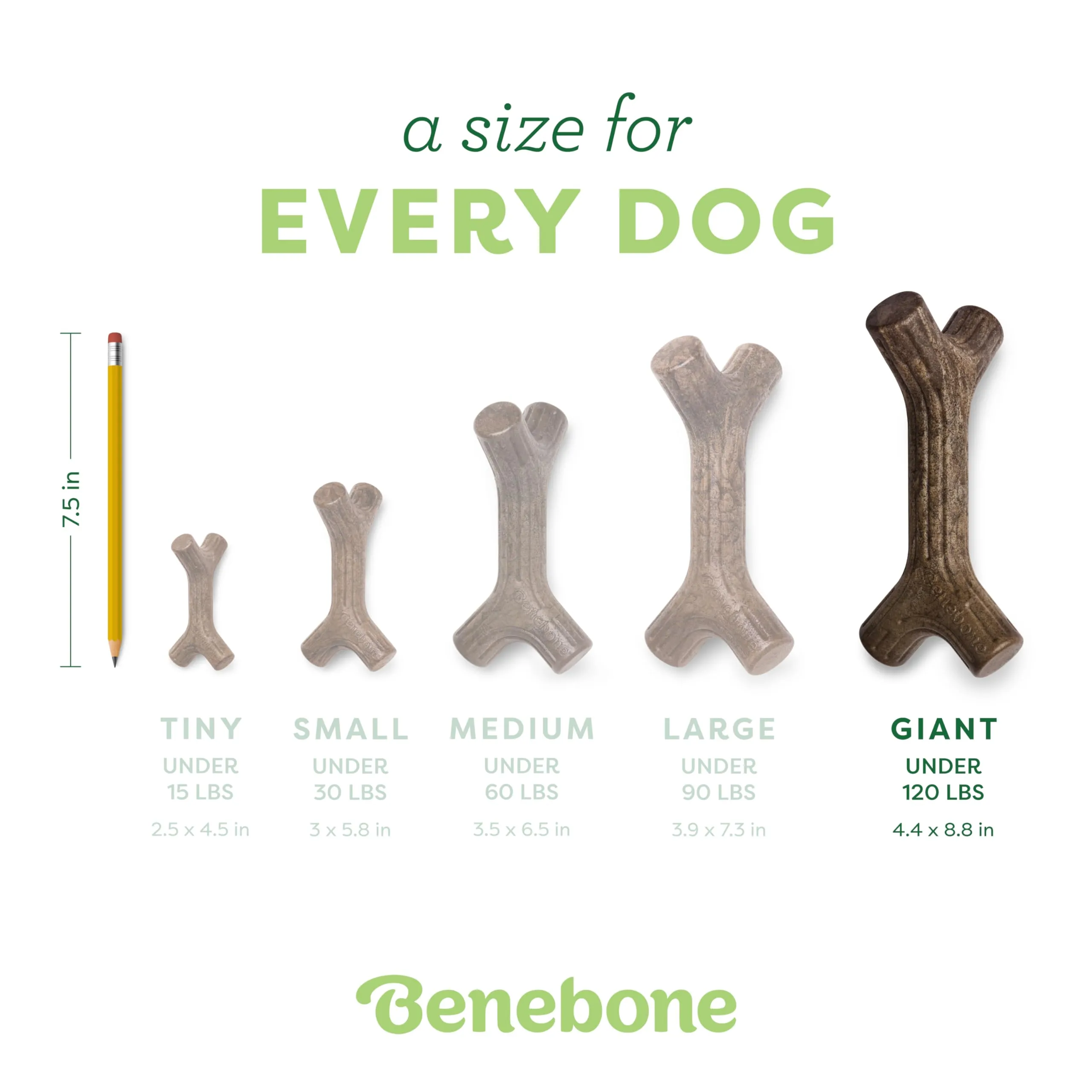 Benebone Bacon Stick Gioco da Masticare per Cani, Gigante - immagine 4