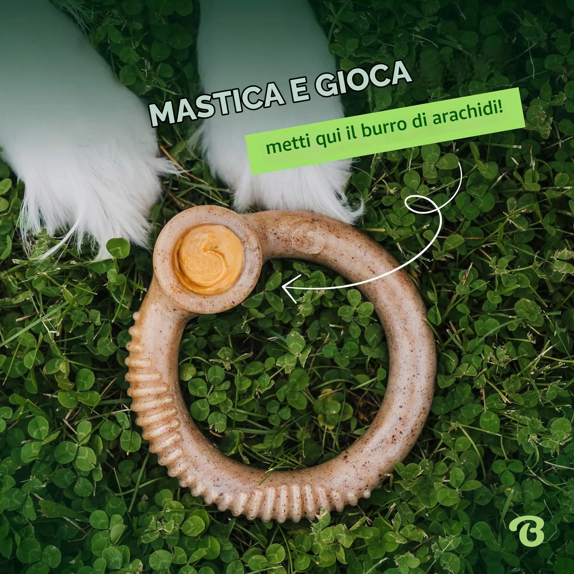Benebone Ring Gioco da Masticare per Cani, Bacon Reale, Large - immagine 5