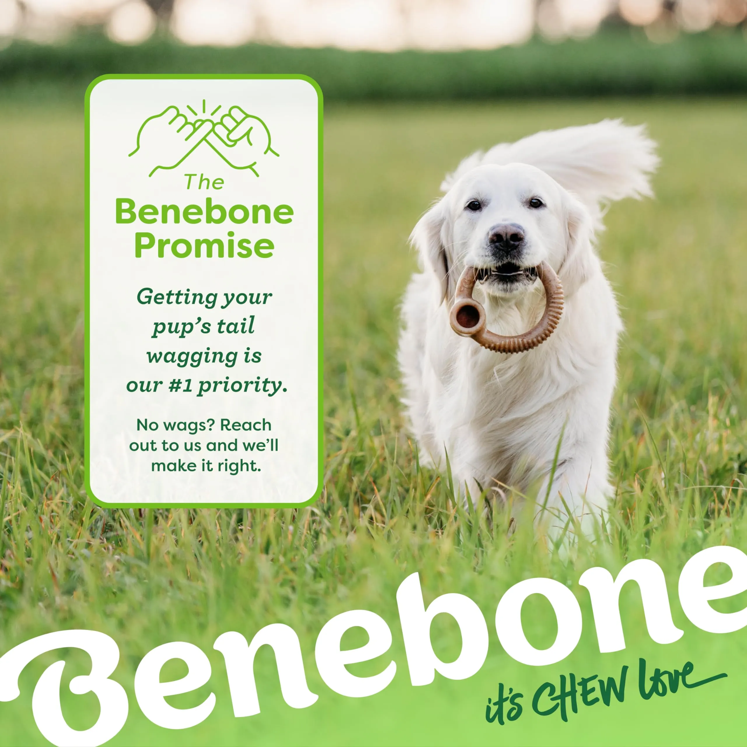 Benebone Ring Gioco da Masticare per Cani, Bacon Reale, Piccolo - immagine 6