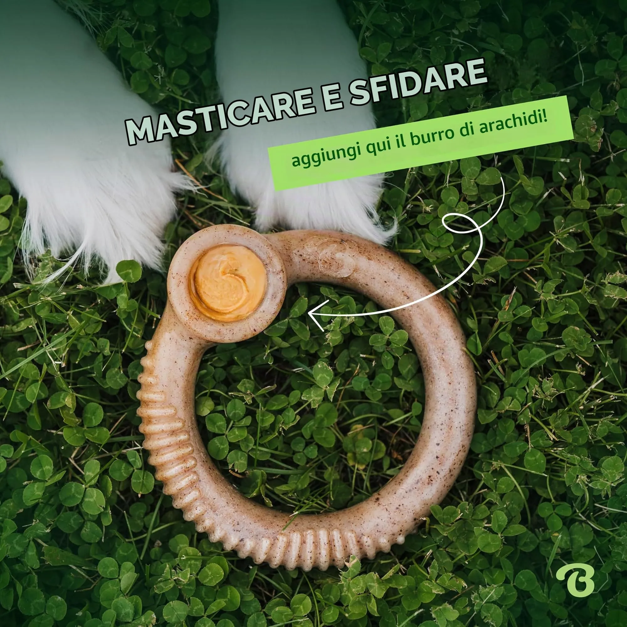 Benebone Ring Gioco da Masticare per Cani, Bacon Reale, Medio - immagine 5