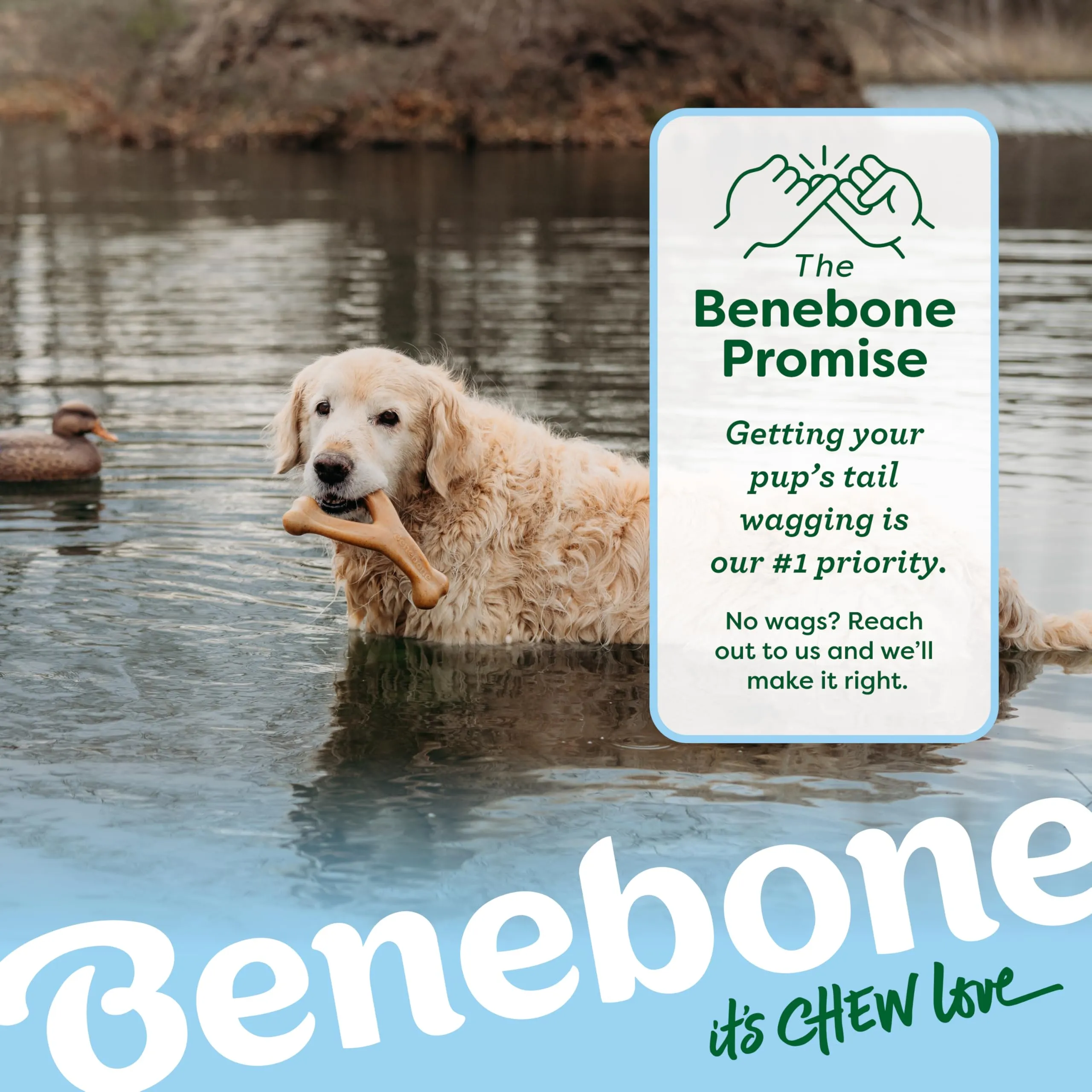 Benebone Wishbone Gioco da Masticare per Cani, Anatra, Piccolo - immagine 7